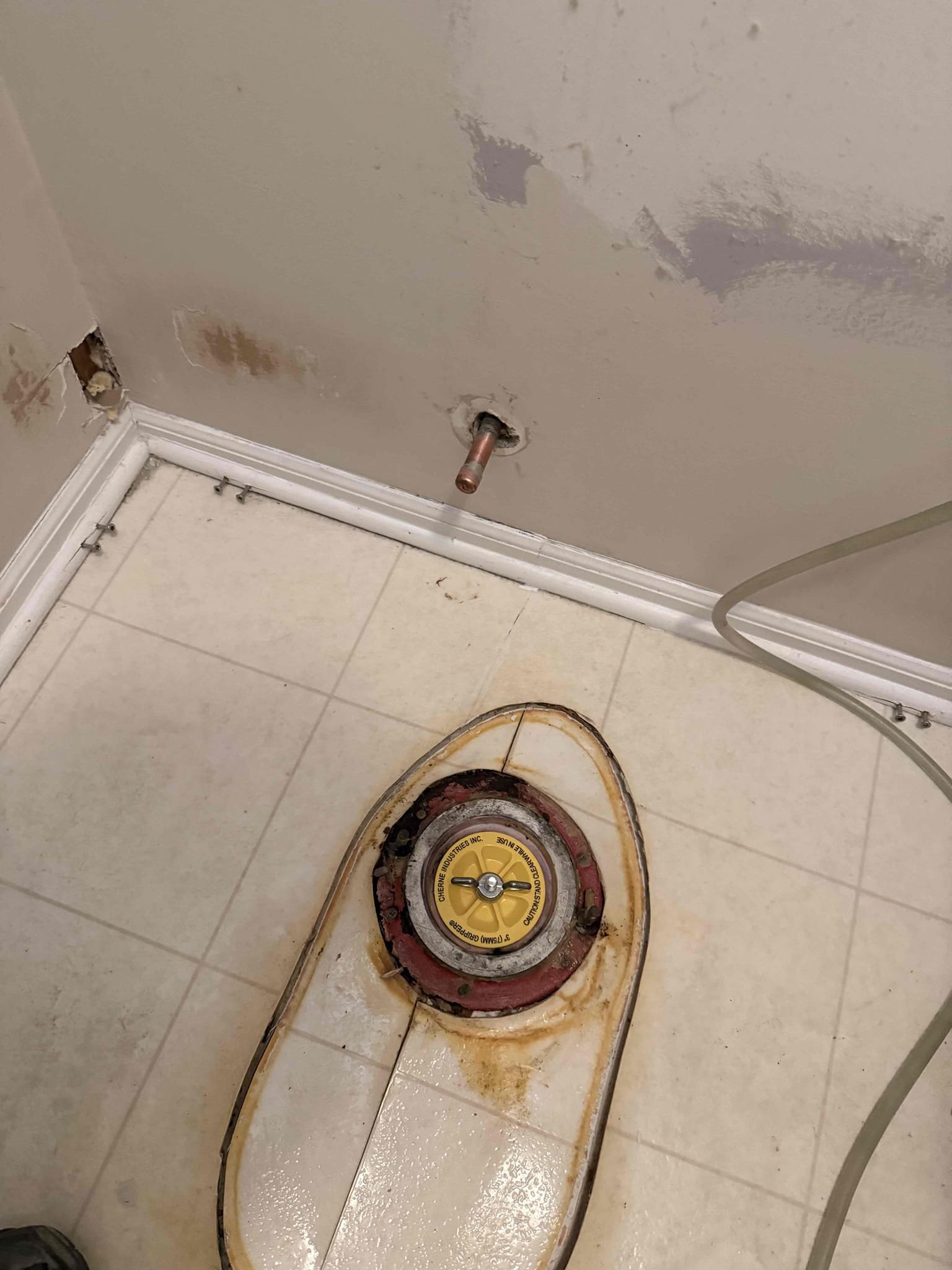 MyGuy Plumbing will cut & cap water and waste for existing single vanity
MyGuy Plumbing will remove existing toilet and cap water and waste
MyGuy cut cans capped water lines and drain li es in bathroom. Water is on to the home no leaks.