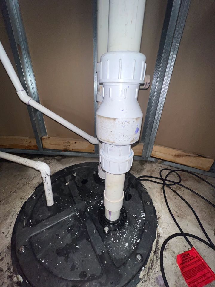 Replaced check valve in Lakehurst NJ