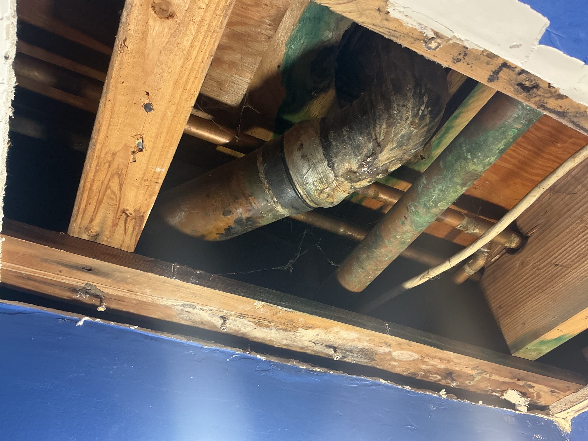 Arrived to the home for a leak in the ceiling, the ceiling has already been cut open. I discovered that the problem is coming from the lead bend for the existing toilet. I provided options for repair, due to time restrictions, customer has requested we return this Wednesday earlier side of the afternoon to cut out the lead bend and reinstall the toilet. Arrived to the home for a leak in the ceiling, the ceiling has already been cut open. I discovered that the problem is coming from the lead bend for the existing toilet. I provided options for repair, due to time restrictions, customer has requested we return this Wednesday earlier side of the afternoon to cut out the lead bend and reinstall the toilet.