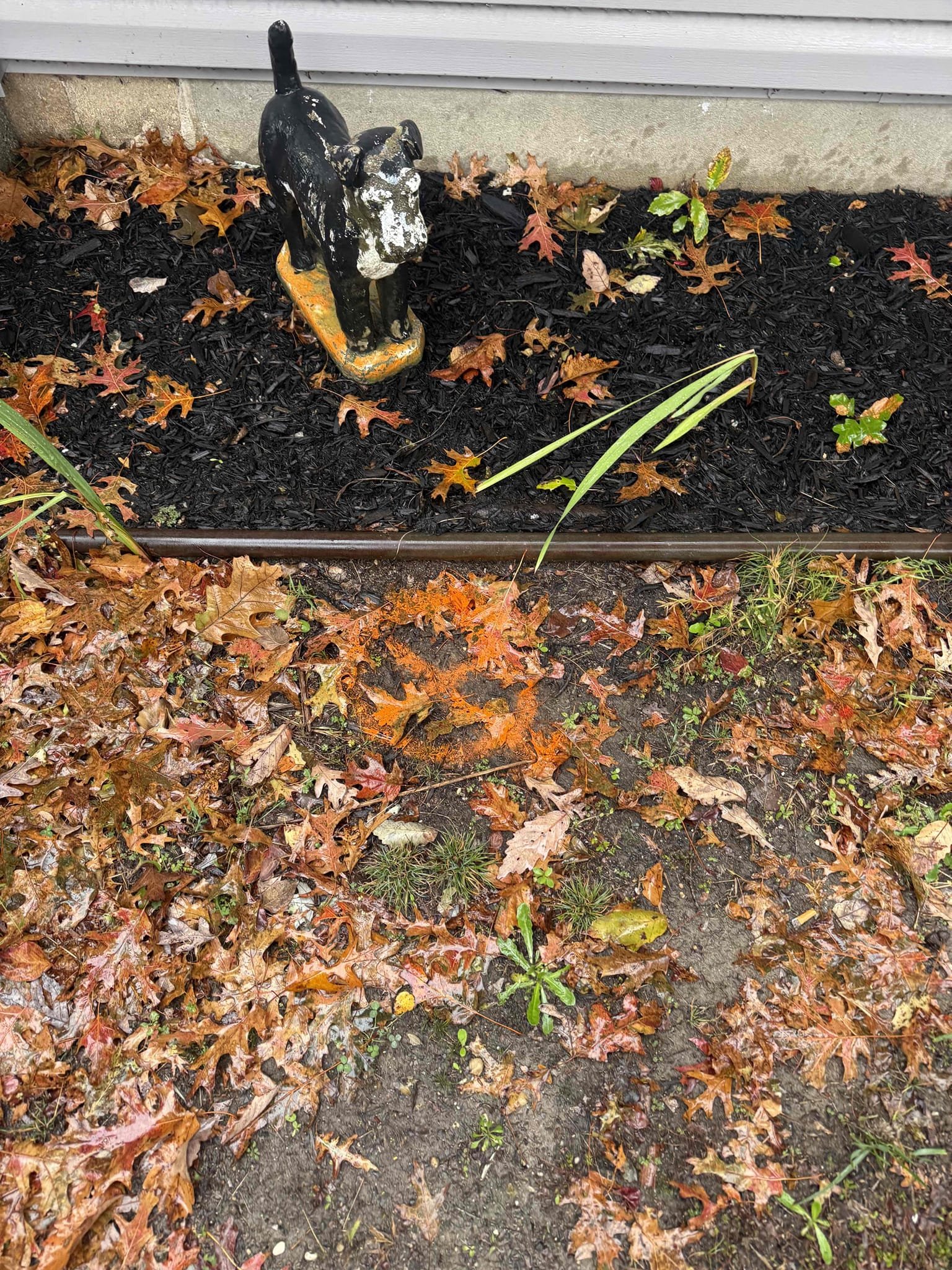 Arrived on site located root penetration in the sewer line and found it is toward the house where their previous repair was connected to existing piping. Gave options on spot repair and customer would like to move forward. Collected $100 down deposit and will be returning next Tuesday to perform the work.