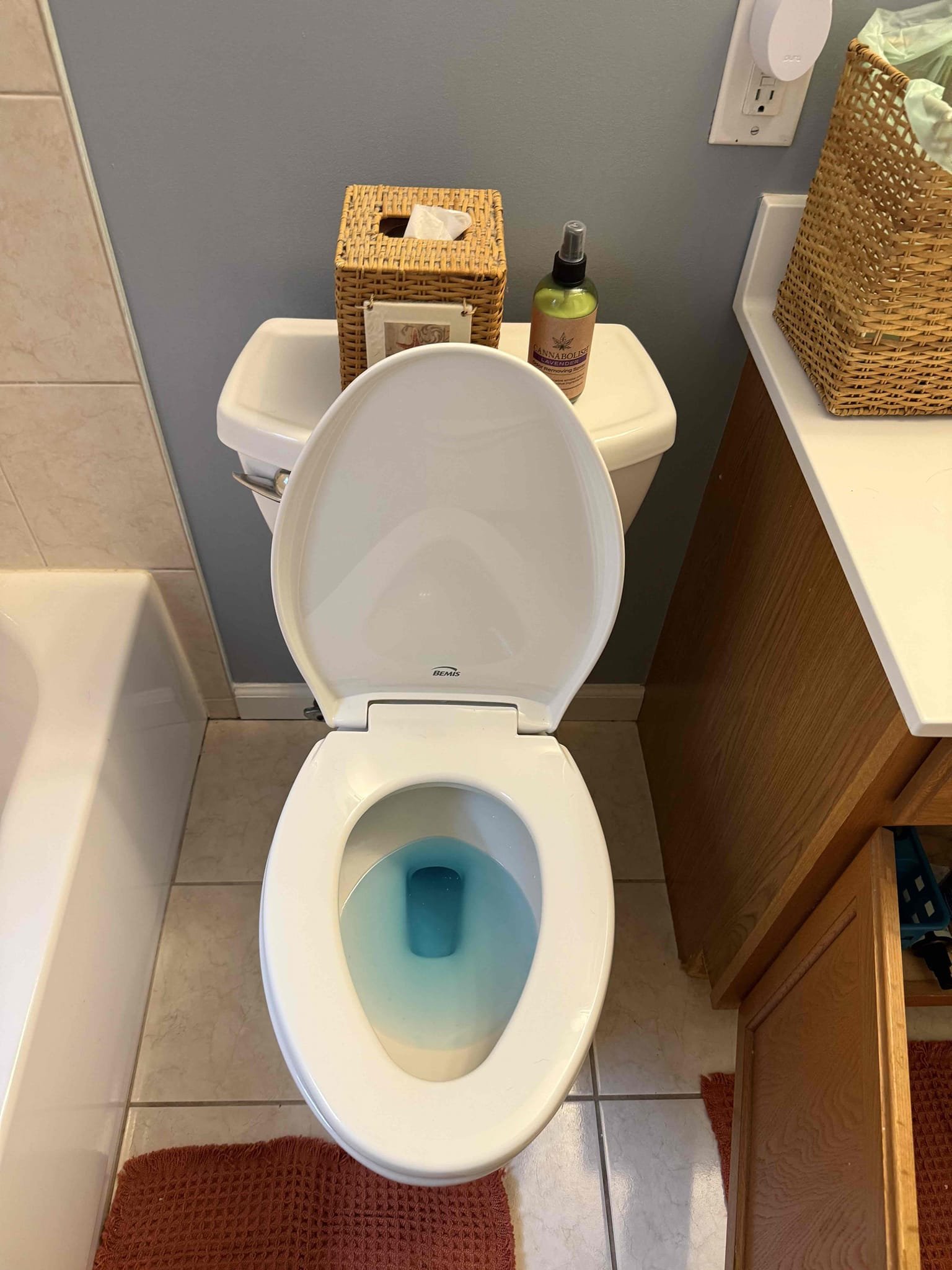 Pressure 60
Hardness 5 
PH 8

Arrived on site to complete customers annual home inspection. After inspection we wrote up estimates to get things rectified, customer would like to move forward, today Myguy plumbing replaced toilet. After all work was completed Myguy plumbing turned the water back on to the home and tested for leaks. At this time their is no leaks found, everything is working as should.