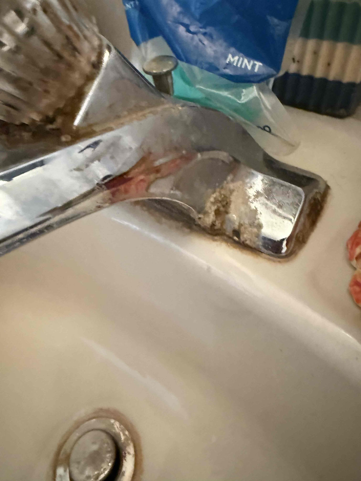 Today we arrived on site to complete customers annual home inspection. After inspecting we wrote up estimates on what we found, for today customer would like to move forward with the work. Myguy plumbing will call customer to get them back on the schedule 