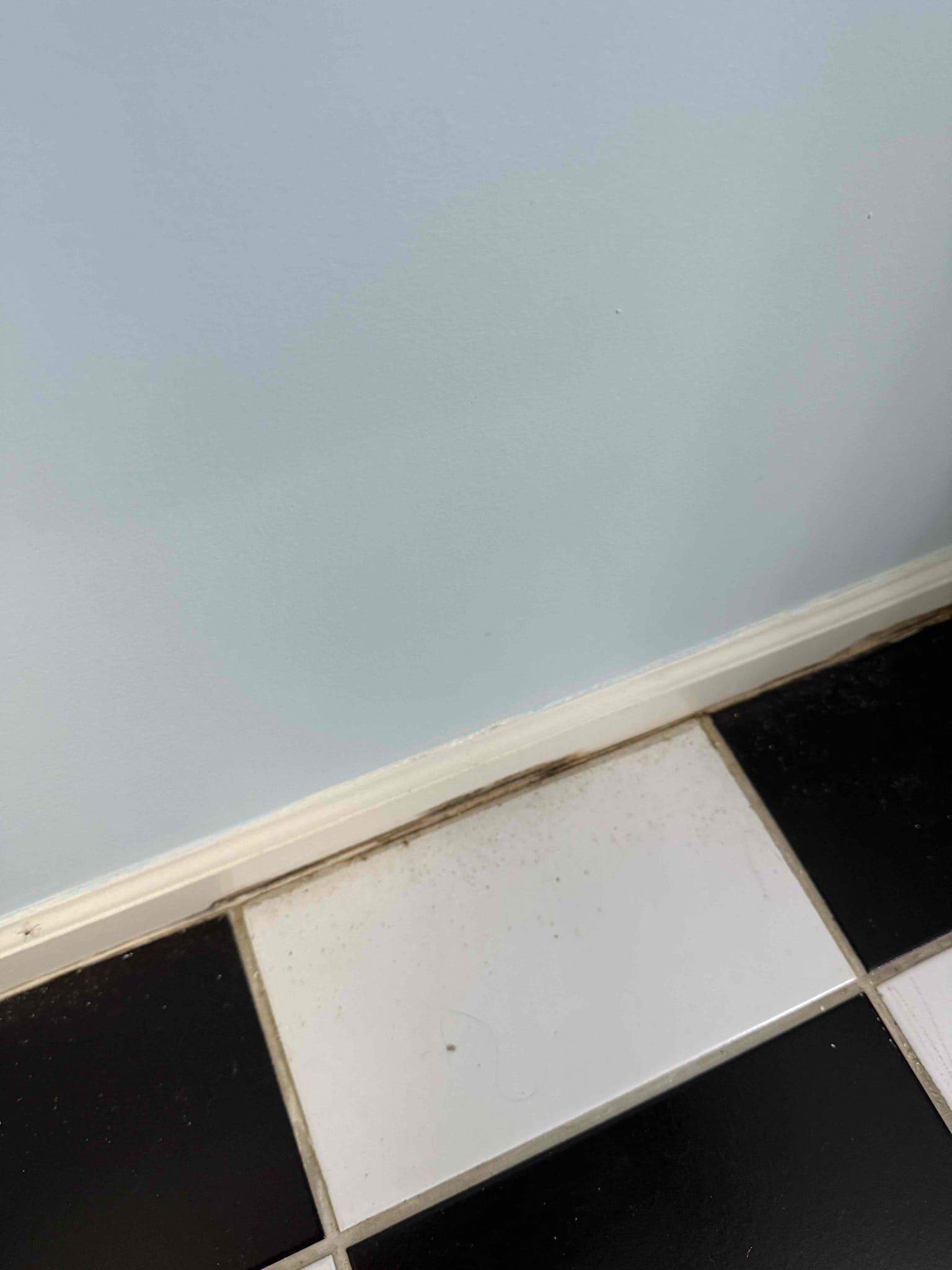 Arrived on site customer stated that they had a leak in their basement after inspecting we found that the toilet tank to bowl gasket is leaking, customer would like to have a restoration company come out and asses the water stains. Myguy plumbing gave customer options to replace toilet and to rebuild it, customer will call after all states comes out and goes over what needs to be done. 