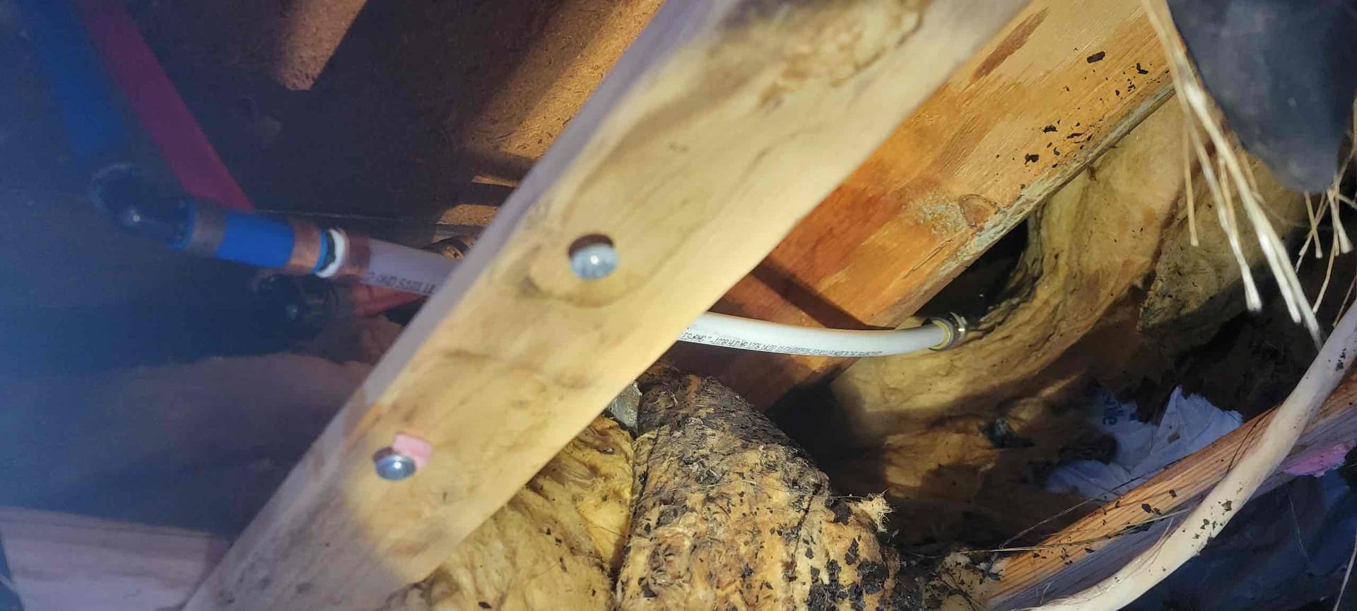 Arrived to the trailer for water coming out from under the apron and skirt of the trailer. After removing a few panels a discovered a pinhole leak in the PolyB water distribution piping close to where MyGuy plumbing has made repairs in the past. After providing options for the client, they would like to go through with the appropriate repairs needed.

Shut off water to the trailer.
Cut out and removed PolyB and pinhole.
Adapted to existing PolyB using sharkbite fitting.
Secured all my connections and turned the water back on to check for leaks.
There are no leaks at this time.

*Customer is aware that MyGuy Plumbing can not provide any warranty on the sharkbite fitting needed to make the repairs due to the quality of the PolyB piping that is ran throughout the home. Customer is aware.