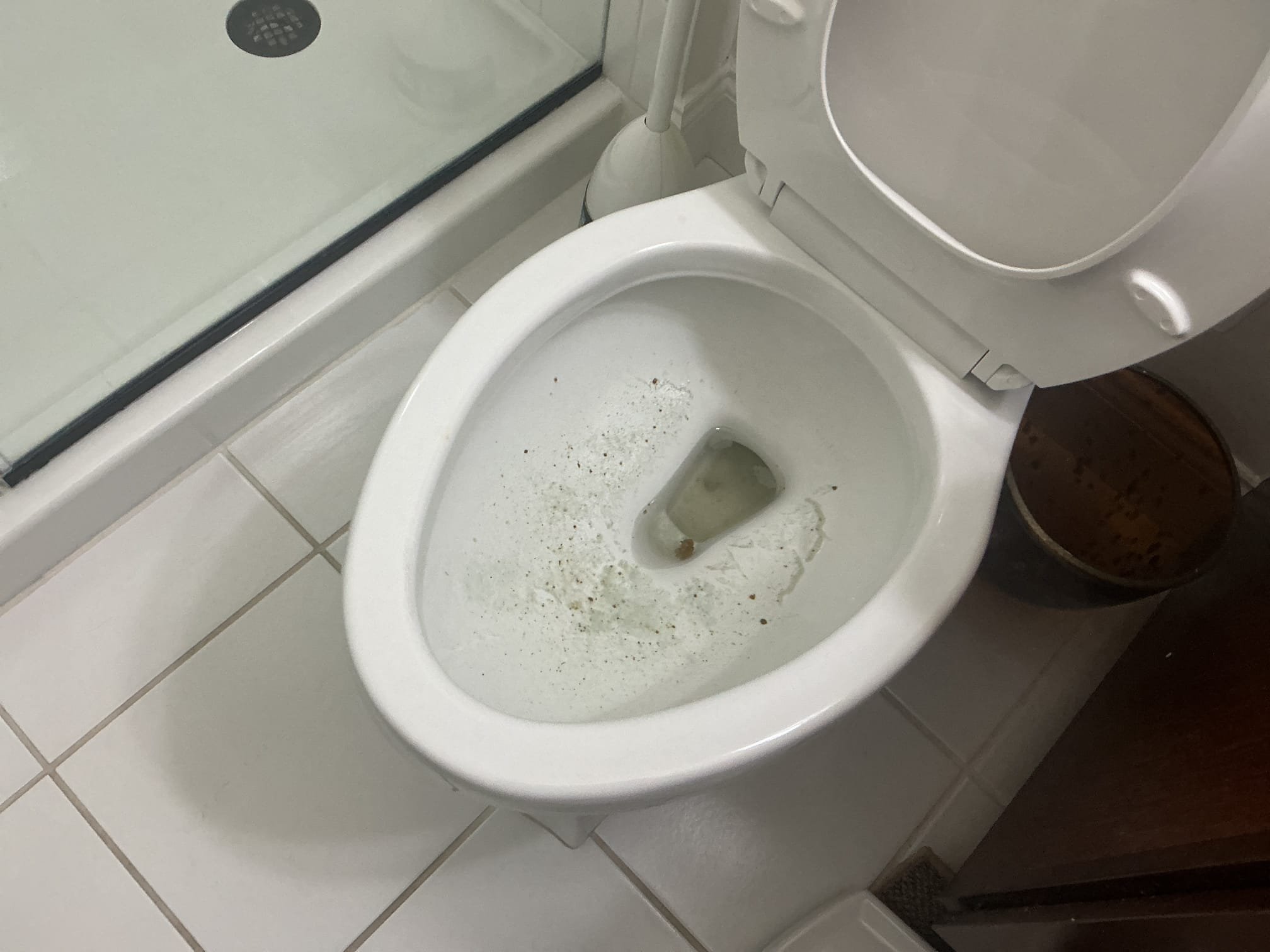 Arrived to the home,  customer states that their first floor bathroom has a clogged toilet. I first ran water to ensure it was not a mainline stoppage, which it was not. I provided options and customer would like us to try and snake the toilet first.

Administered closet auger on existing toilet.
Restored flow to the toilet.
Checked for leaks.

*Cause of the stoppage appears to be an abundance of toilet paper.
*There is no warranty for any drain cleaning.