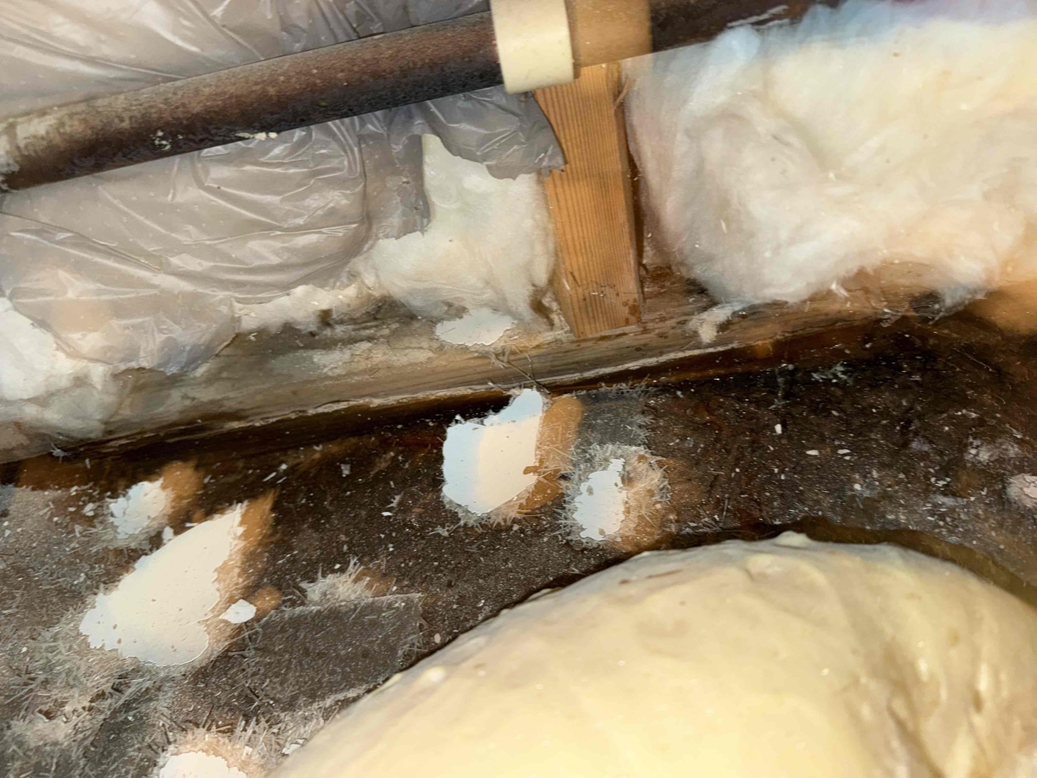 Remodel bathroom

Replace shower with fiberglass shower pan and 3 piece wall kit, replace toilet, possibly replace toilet flange based on condition, replace pull down shower head, and replace vanity with customer supplied vanity

Need restoration before installing shower. Installed vanity and shower valve tested work and everything appears to be in working order and there appears to be no leaks at this time. Collected payment 