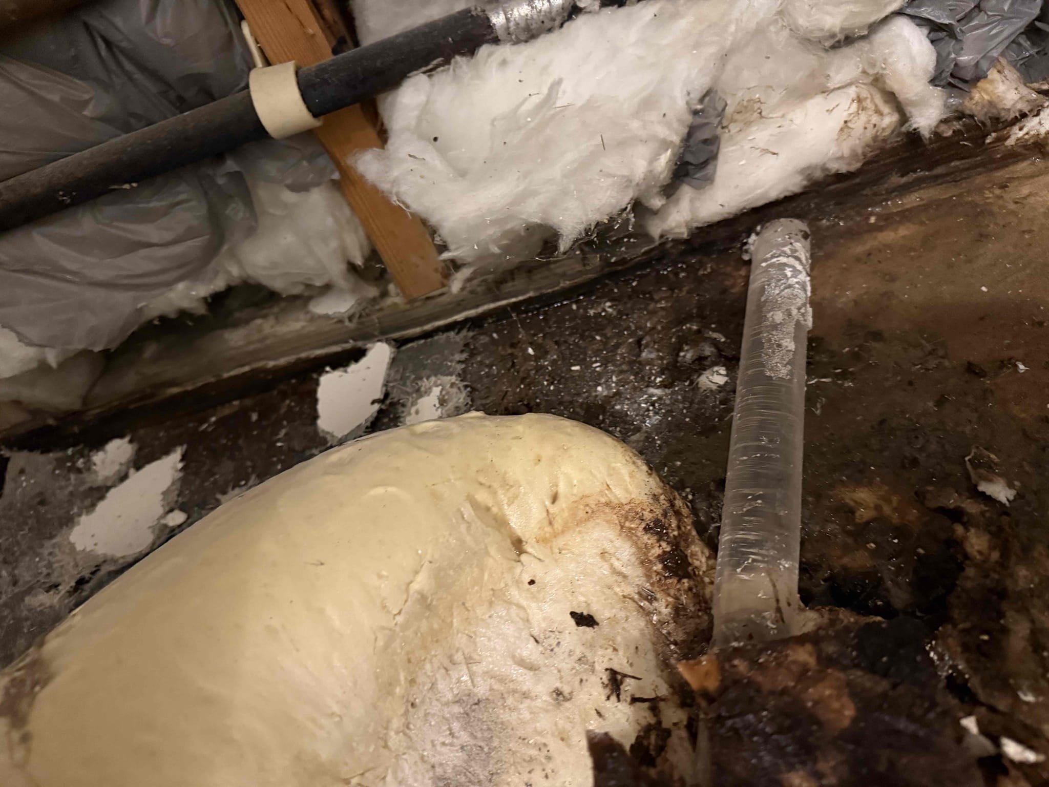 Remodel bathroom

Replace shower with fiberglass shower pan and 3 piece wall kit, replace toilet, possibly replace toilet flange based on condition, replace pull down shower head, and replace vanity with customer supplied vanity

Need restoration before installing shower. Installed vanity and shower valve tested work and everything appears to be in working order and there appears to be no leaks at this time. Collected payment 