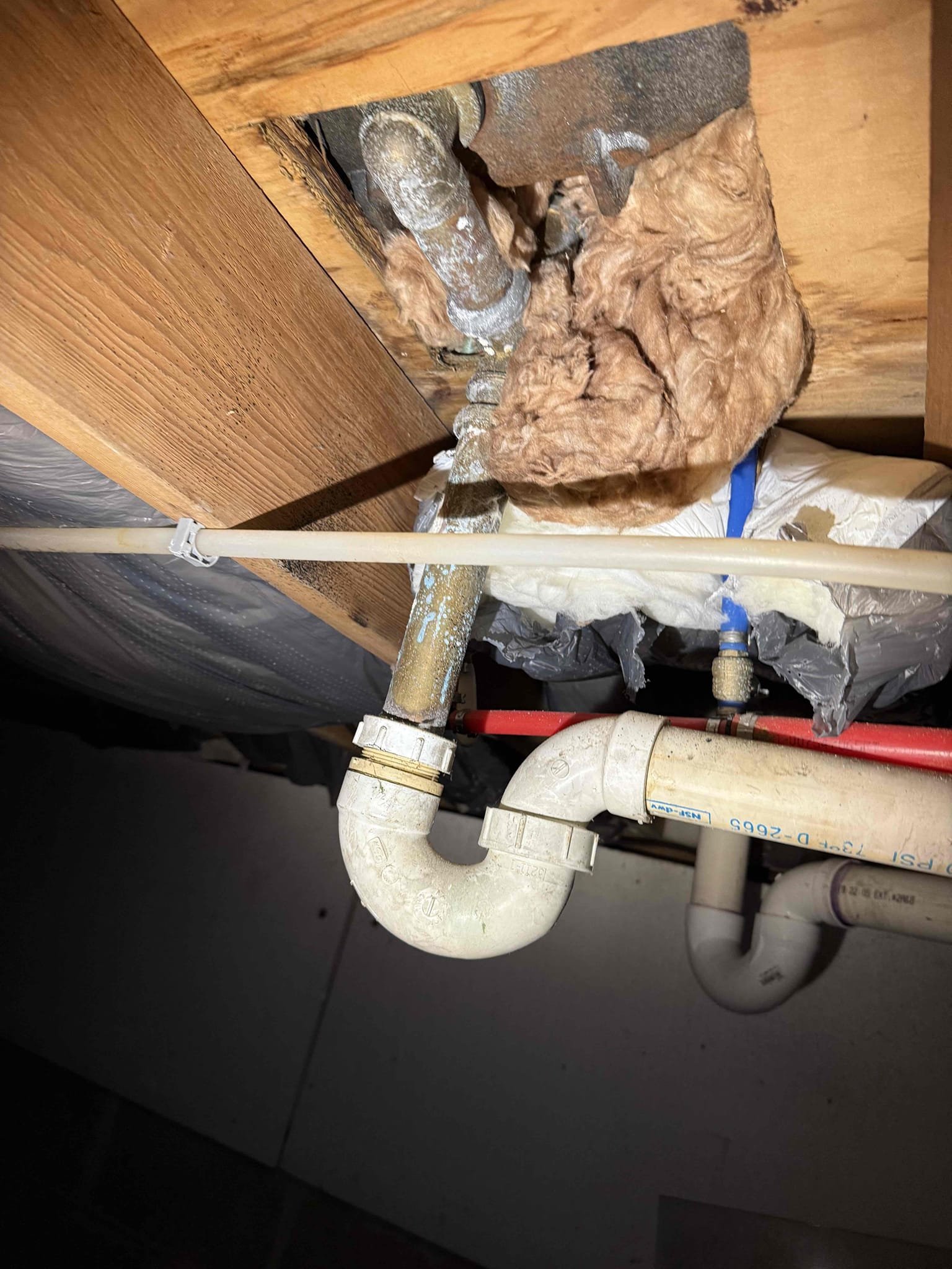 Arrived on site to complete annual inspection. After inspection we wrote up everything to get things rectified. For today customer would just like options emailed to them. Everything is in working order. 