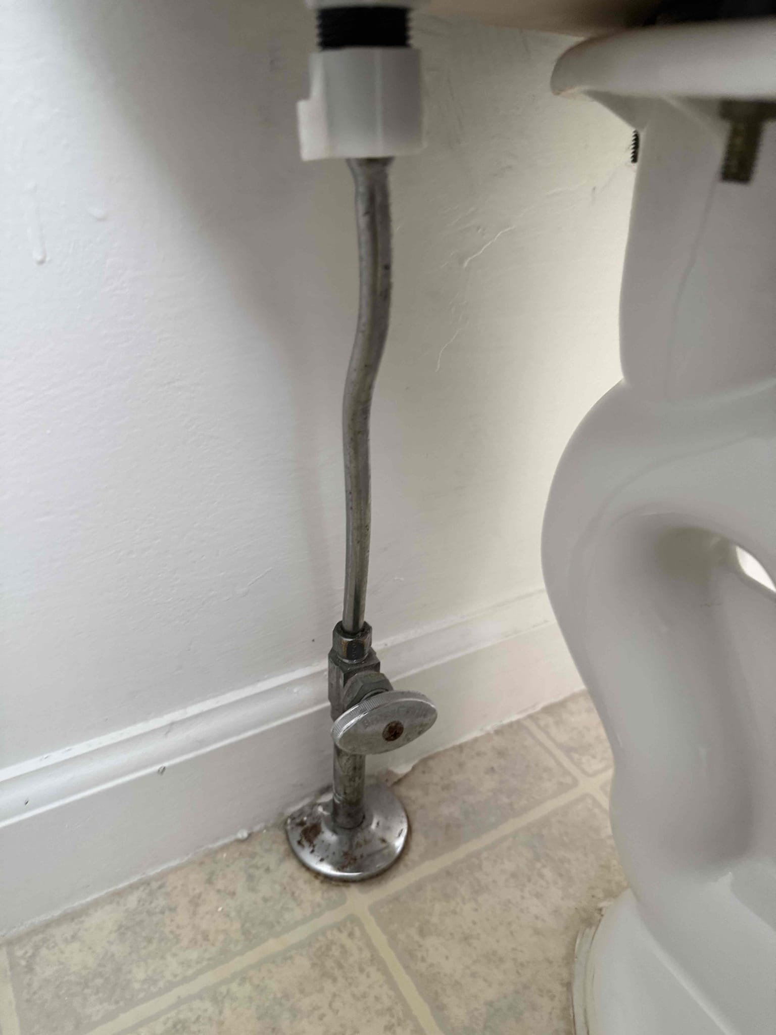 Two basic toilets 
Arrived to home for new toilet. Today MyGuy supplied and installed 2 American standard cadet pro toilets and tested for leaks. There are none at this time. As courtesy installed bidet for one toilet. Flanges were in good shape and valves were swapped out.
