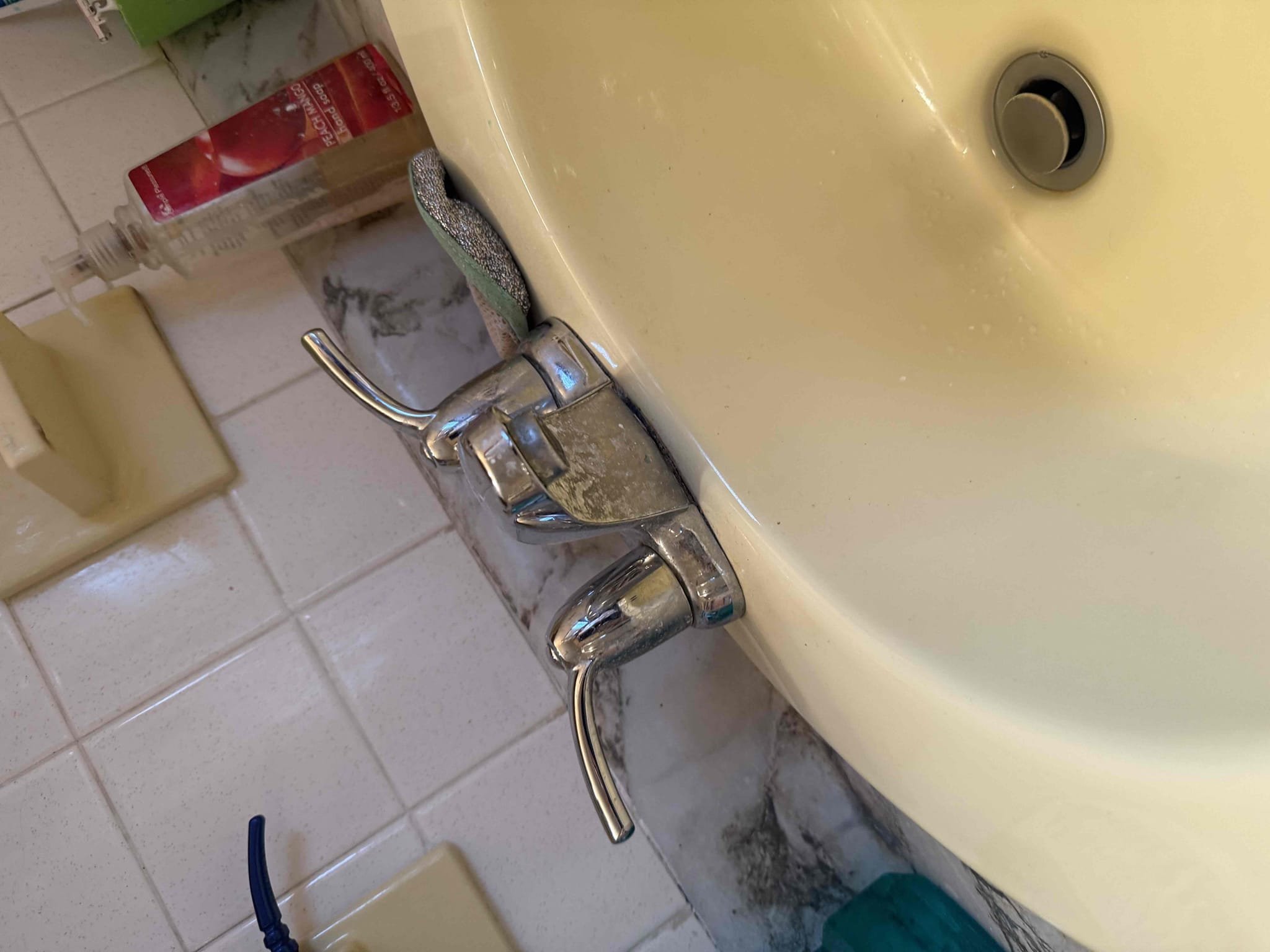 Arrived on site to complete  customers annual home inspection. After inspecting, MyGuy plumbing wrote up estimates to get what we found rectified. For today customer would just like all options emailed over to them, at this time everything is working as should.