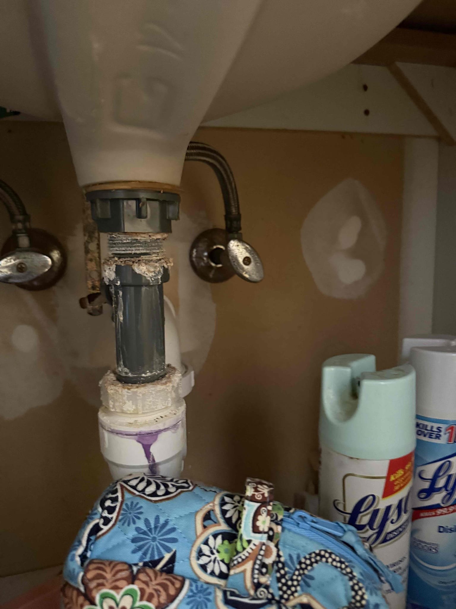 Arrived on site to complete  customers annual home inspection. After inspecting, MyGuy plumbing wrote up estimates to get what we found rectified. For today customer would just like all options emailed over to them, at this time everything is working as should.