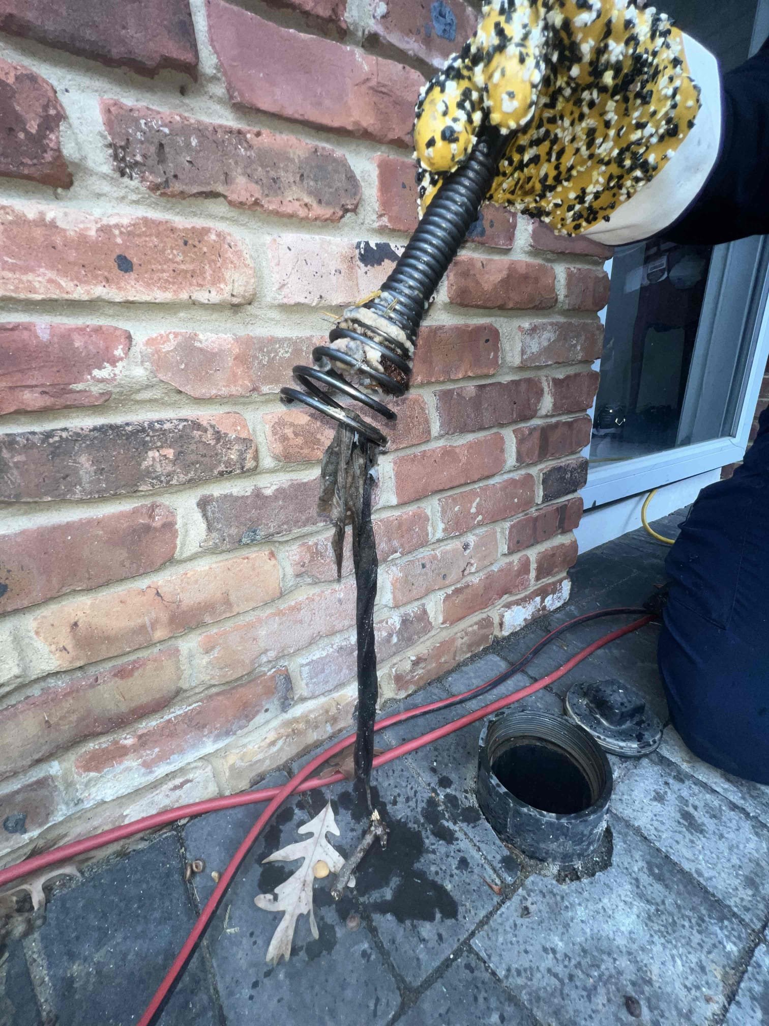 Arrived on site client stated their toilet would back up and not flush. Client has a clean out outside and when we opened the clean out there was water. Snaked the main line through the clean out and found roots and flushable wipes on the cable. Restored flow for today and left estimates to dig and repair sewer main.