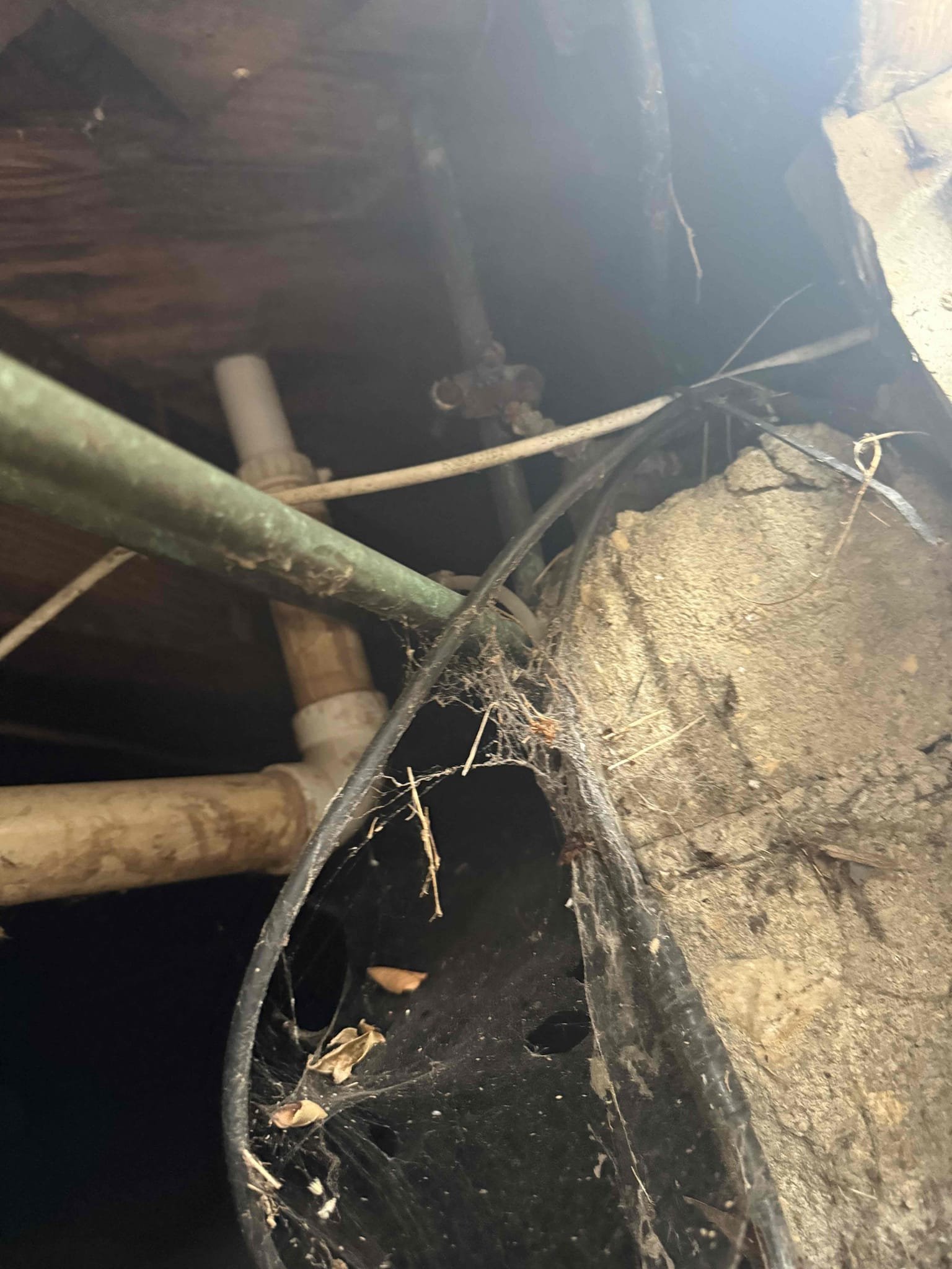 Arrived on site to complete customers annual home inspection. After inspecting myguy plumbing wrote estimates to get what we found rectified. For todays customer would just like all options emailed over to them.