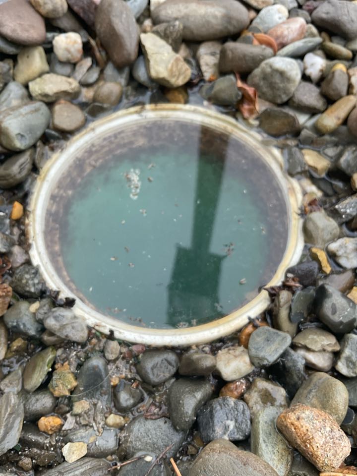 Clogged sewer main in Lavallette NJ