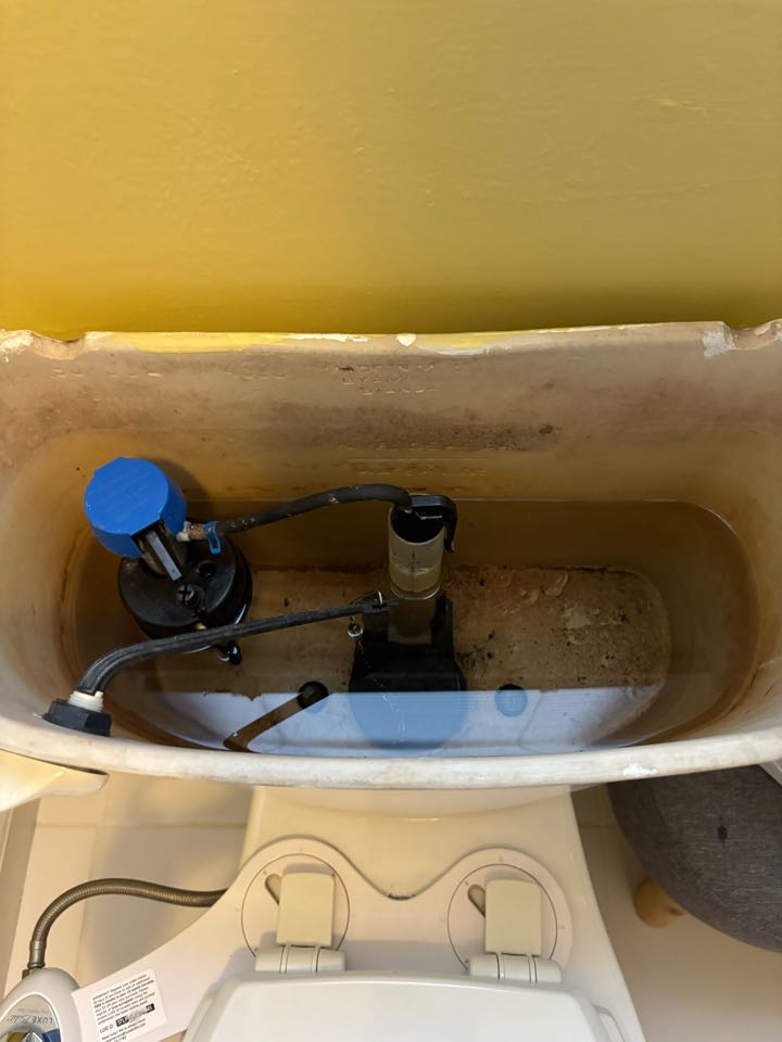 Provided options to replace toilet flapper. Seaside Heights, NJ 08751