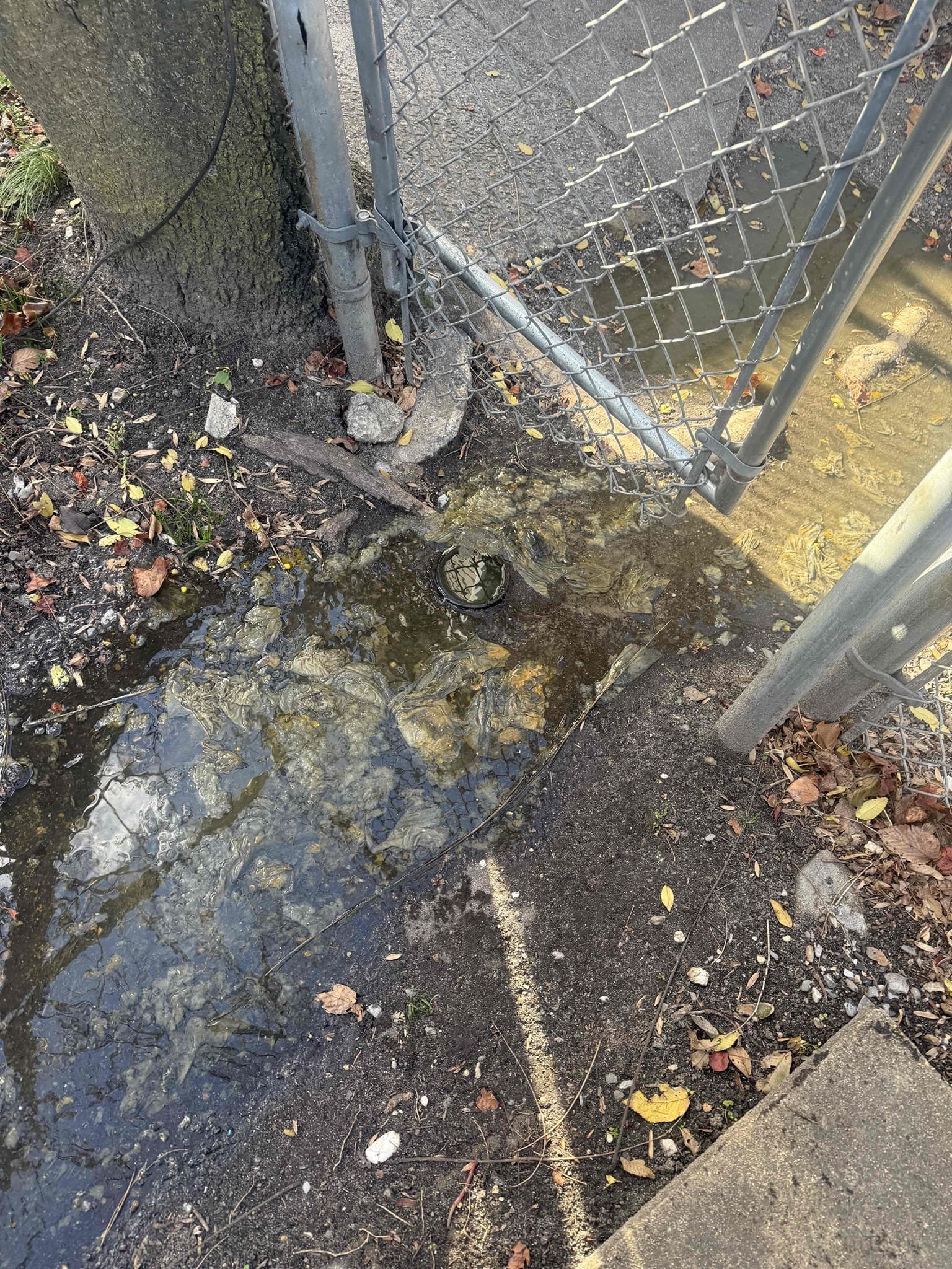 Arrived on site customer stated sewer main was backed up found cleanout and recommend snaking from cleanout. Customer stated price was too expensive. Left estimate 