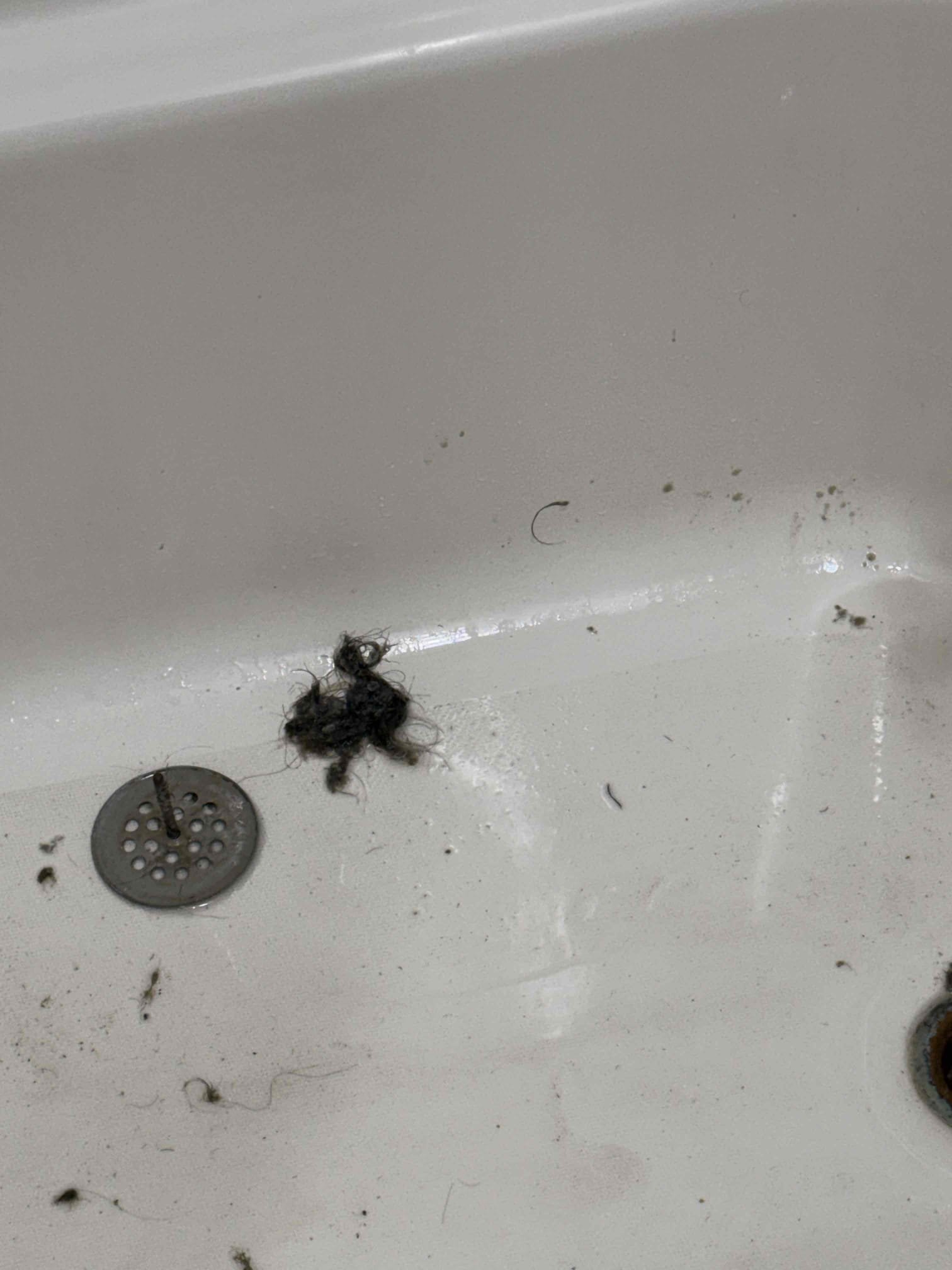 Arrive on site customer stated that they would like to snake bathtub and heard about the $89 special. Upon inspection found the tub was clogged with hair sent down snake and removed hair. Tested all work and everything appears to be in working order and there appears to be no clogs at this time. Collect payment.

Stopper was old and corroded and broke when removed customer does not use it anyway so we removed it as per his request and just put the overflow plate back.