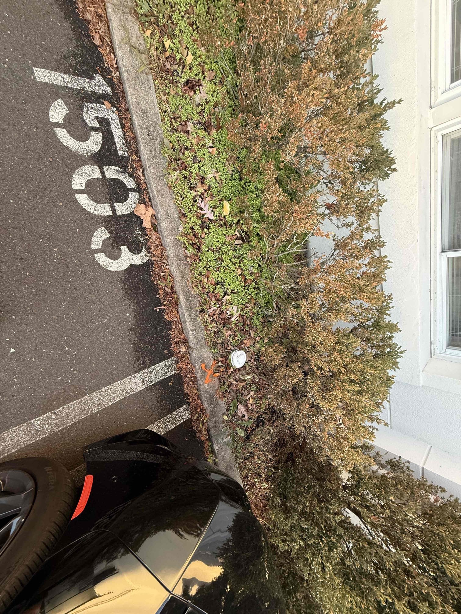 Arrived on site customer stated that they have a backed up sewer main. Upon inspection found that the toilet is backing up and there is a cleanout underneath the flooring. Opened clean out and cleared blockage found some sort of separation on the outside cleanout that will need to be repaired otherwise the clogs with happen again. We will need cut out asphalt to make repair. Customer needs to contact the township to make sure the township is not responsible for the break after the cleanout. Customer also had an issue with water leaking through the wall opened the wall and found a broken sewer line. We will need open up the floor and replace the broken fitting. We are not responsible for Sheetrock or concrete. Recommend contacting Allstates restoration to clean out sewage and water.