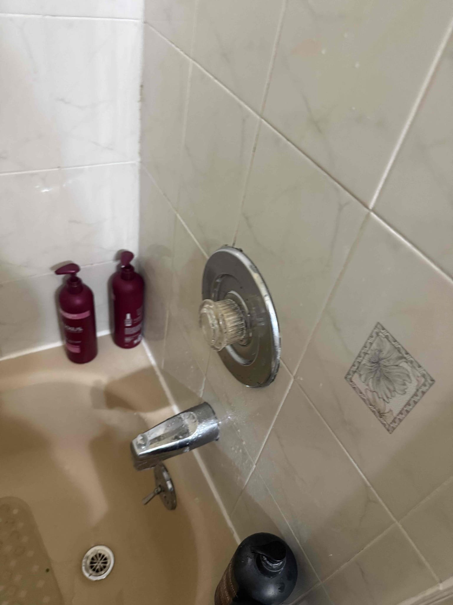 Arrived on site to complete customers annual home inspection. After inspecting we left estimates on what we found. For today customer would just like options emailed over to them 