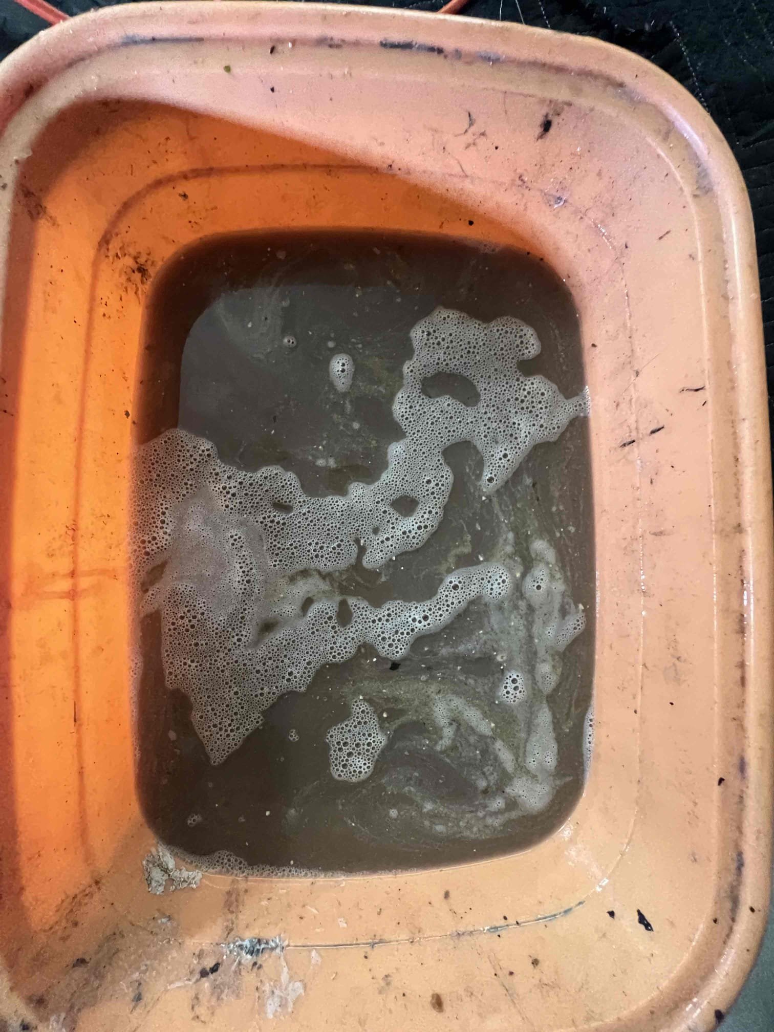 Arrived on site client stated their kitchen sink was backing up. Upon arrival we noticed the water was at a complete stop and not draining at all. Left options to remove fernco and repipe the small section of pvc but client would like to just hydro jet for today. Snaked and hydro jetted the kitchen sink multiple times and when done we tested with hot water. Filled and dumped the sink with hot water multiple times and the kitchen sink is now draining as it should. 