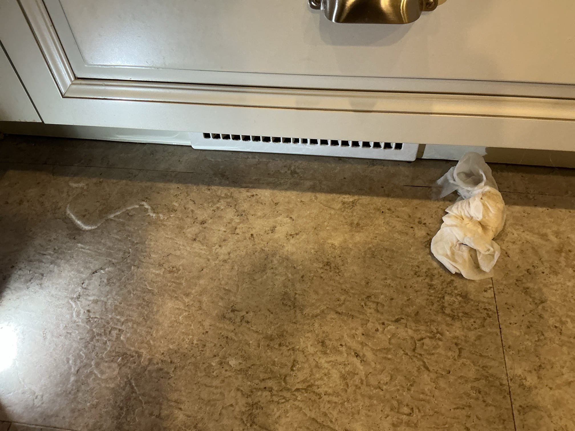 Arrived to the home for a mystery leak in the kitchen, after a very through evaluation, I discovered that the leak is coming from the discharge hose extension piece for the dishwasher. I have passed off Jersey Coast Appliance contact information for the client.