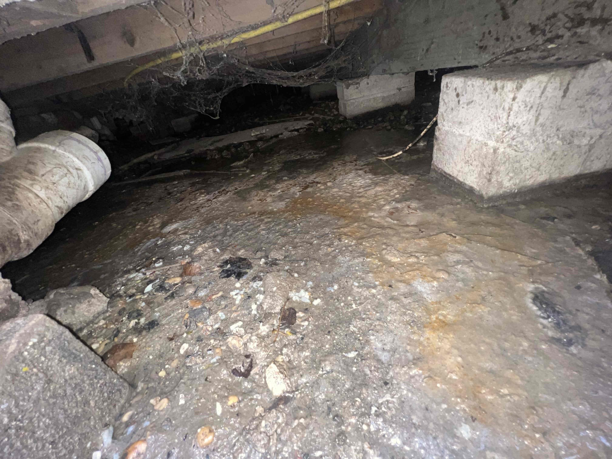 Arrived on site client stated they had a leak in the crawlspace. When opening the crawlspace there was sewage at the entrance and I was unable to see the leak. Crawlspace needs to be cleaned out in order for us to repair the leak. Will credit back the visual diagnostic when client calls back to perform work.