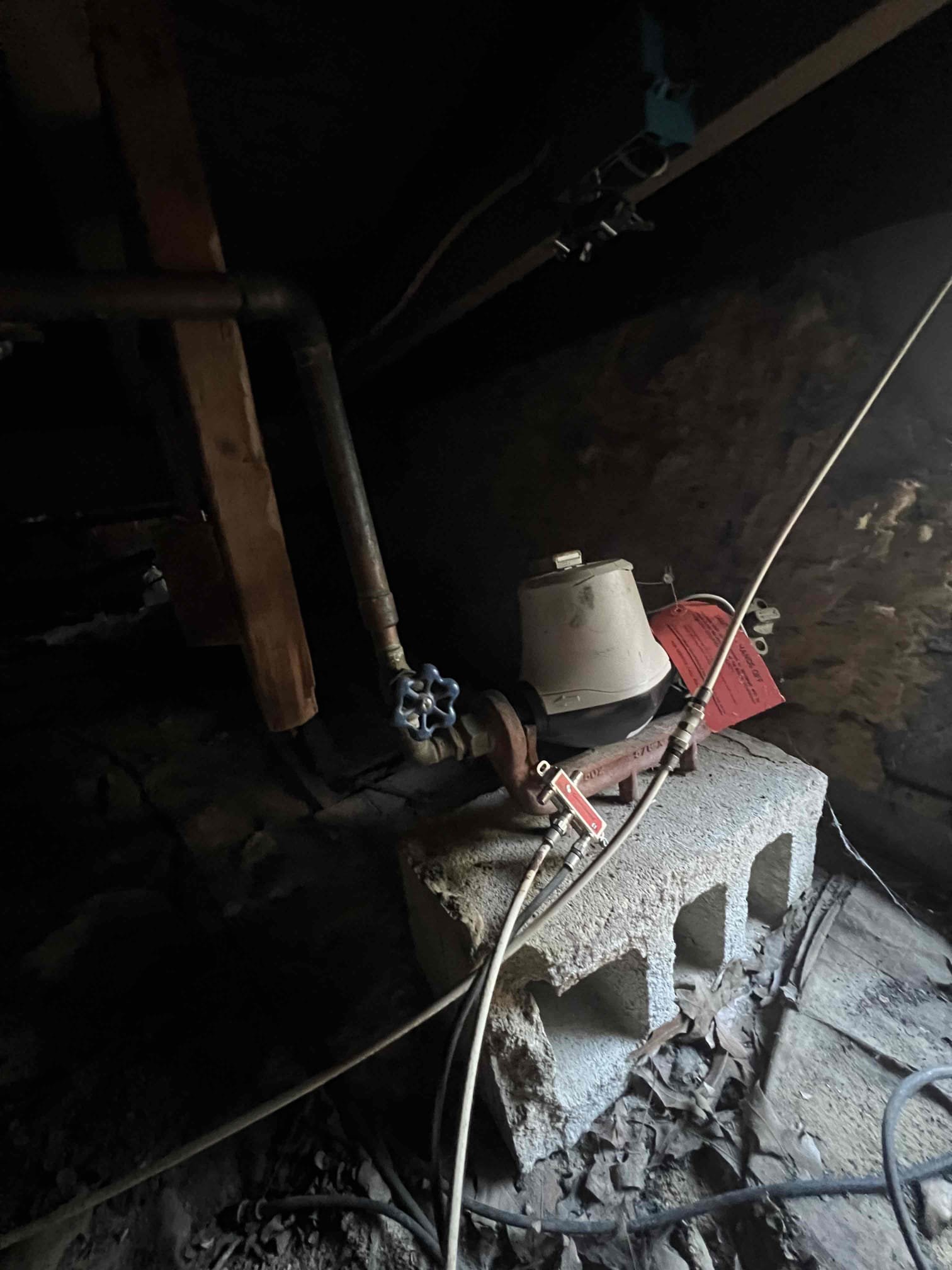 Returning tomorrow to perform work.