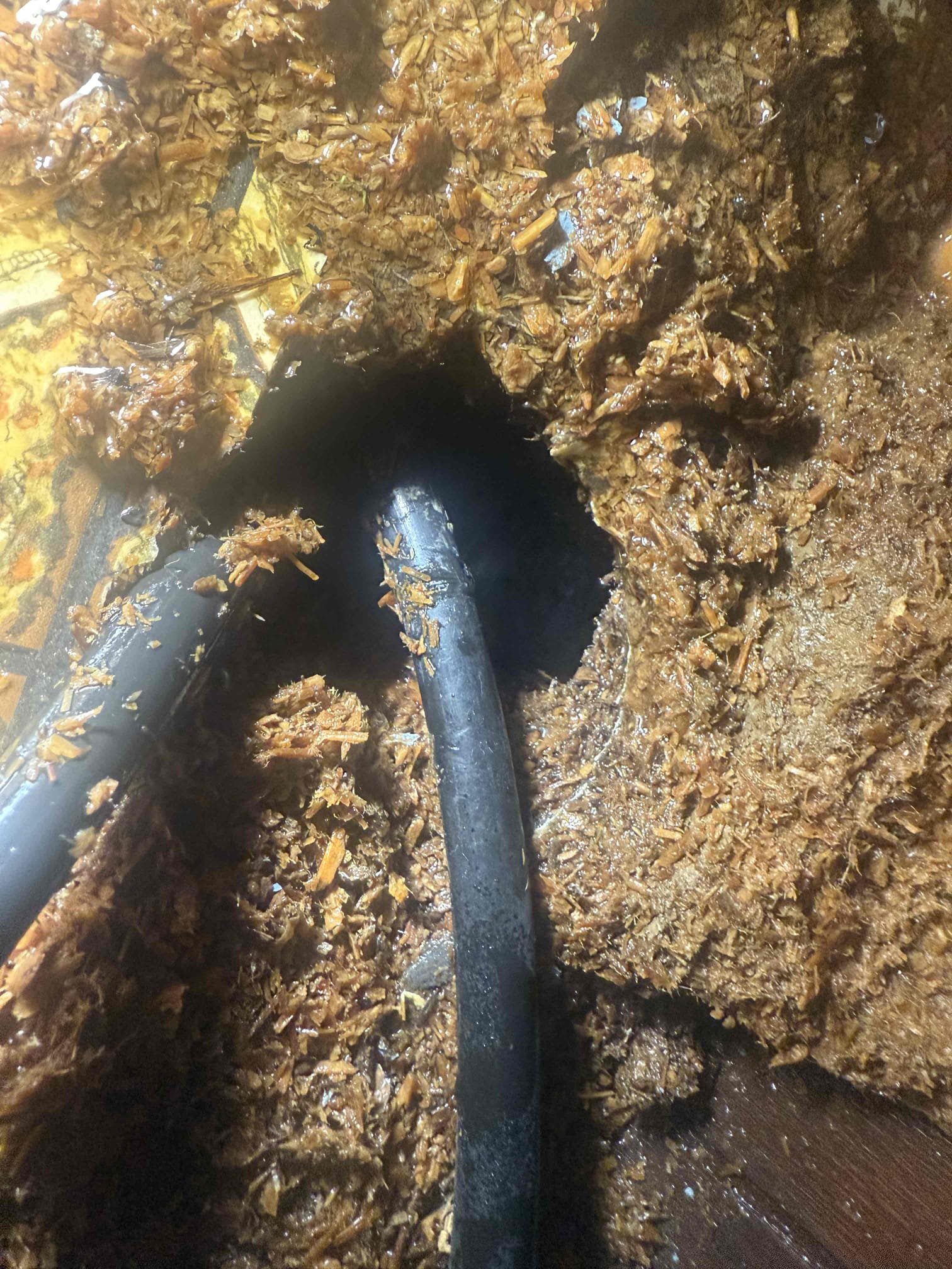 Accessible plastic pipe repair, non stock parts
Arrived to home for leak under kitchen sink. Upon inspection found 2 pinhole leaks from 3/8 polybutylene lines. PB is a discontinued type of piping that is notorious for pinhole leaks. In this case, after cutting out damaged area found to be what appears teeth marks or chew marks from an animal. MyGuy repaired using couplings tested for leaks and there are none at this time. Because PB is known for springing leaks, MyGuy cannot warranty repair nor other leaks that may happen in the future. Cabinets had substantial water damage upon arrival.