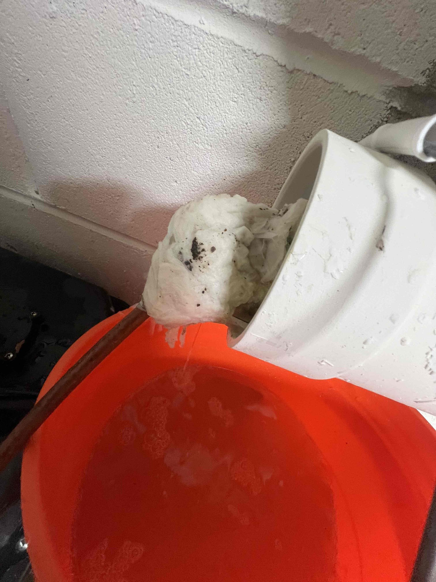 We will return tomorrow to snake main line.