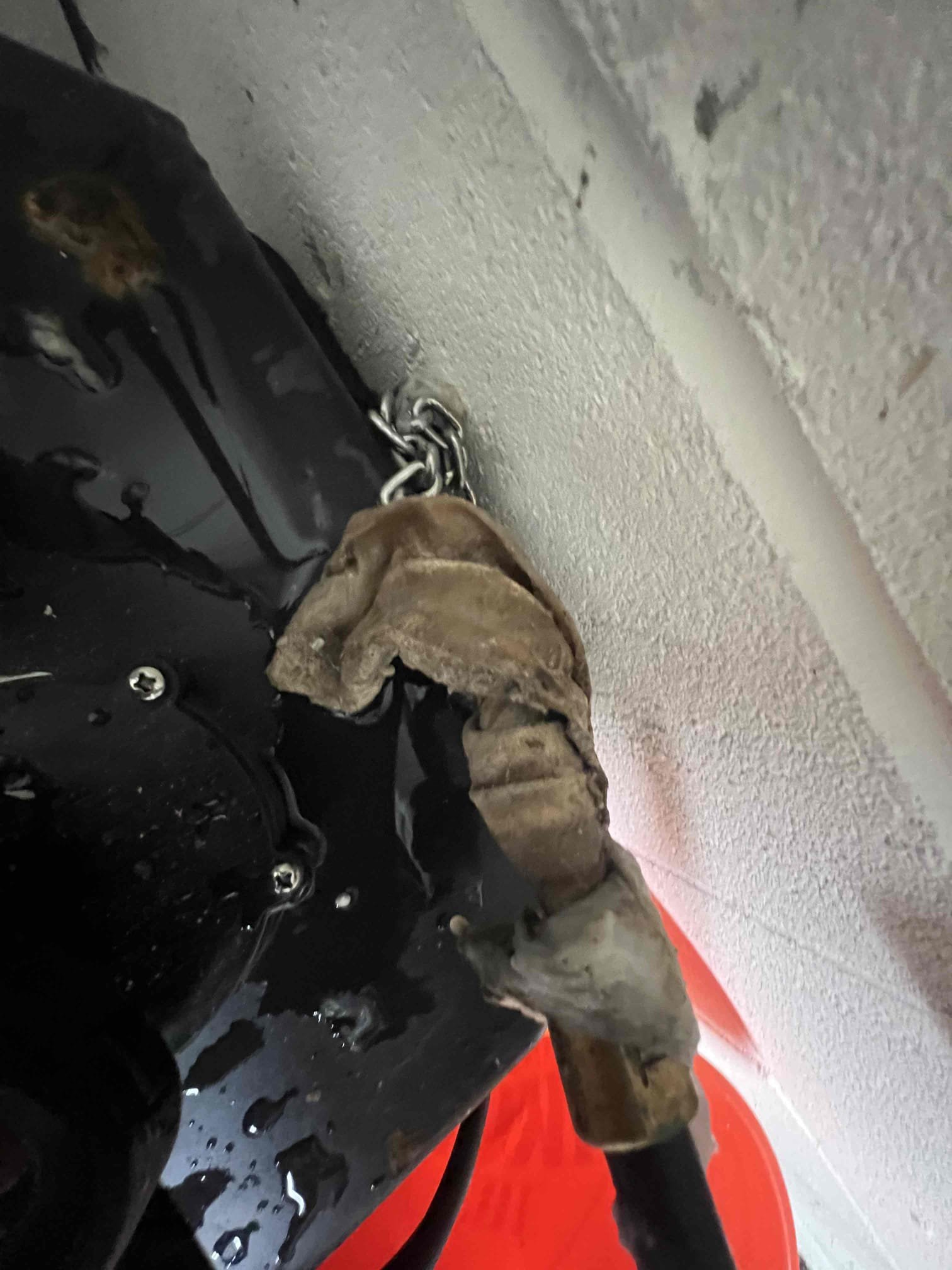 We will return tomorrow to snake main line.