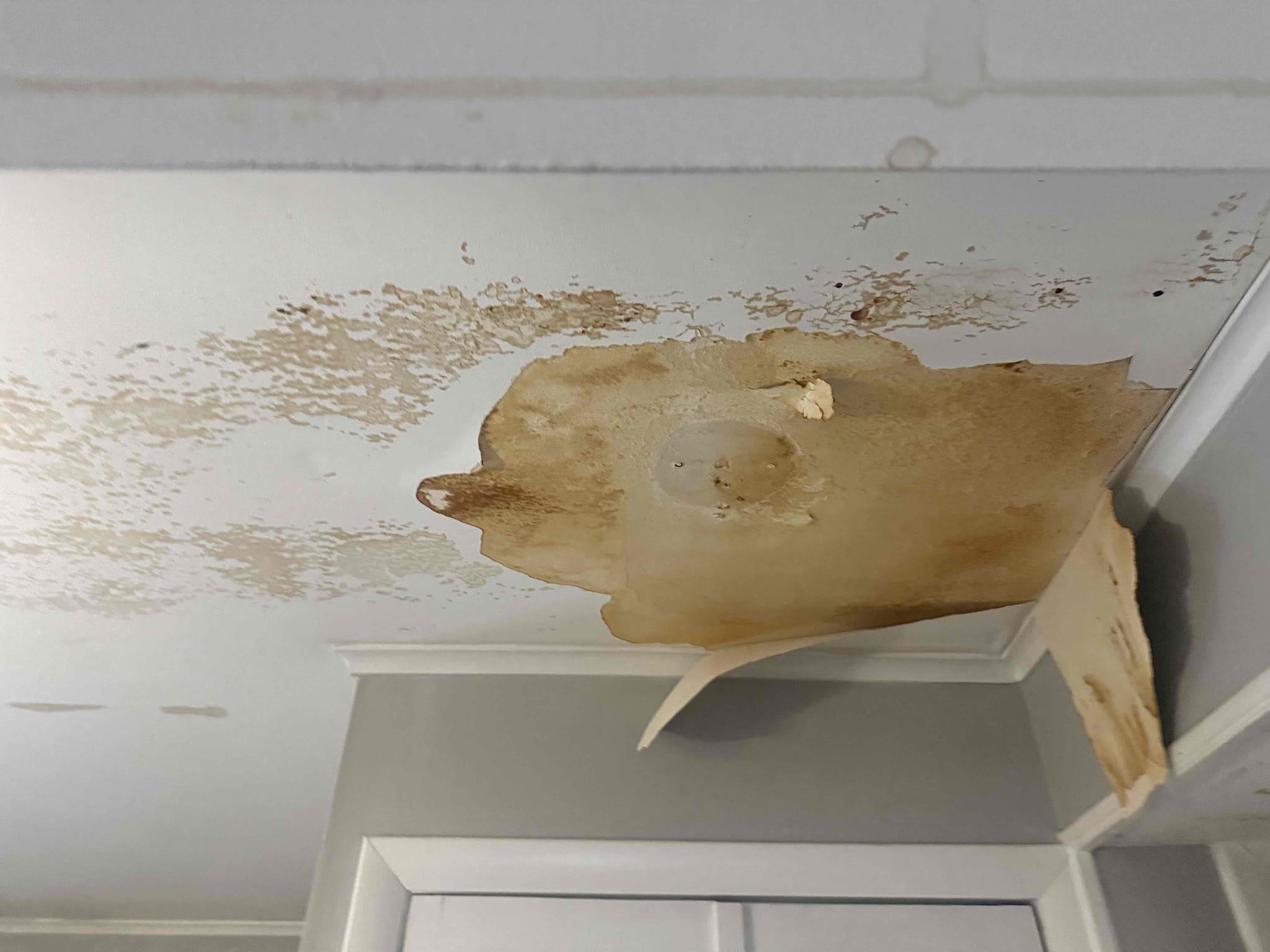 Arrived to home for leak in ceiling. Upon inspection found stains and wet spots on ceiling downstairs underneath kitchen sink. Ran kitchen faucet and instantly started leaking from handle and after turning faucet off it would continue to ru. Customer stated that counter was full of water dripping into downstairs. Noticed that the bonnet for faucet was very loose. I tightened it by hand and is no longer leaking. Highly recommend replacing faucet and also opening ceiling to make sure there are no other plumbing issues. Left options for everything. Said if they signed up for membership I would cut open ceiling as courtesy to make sure no other leaks. 
59 waived