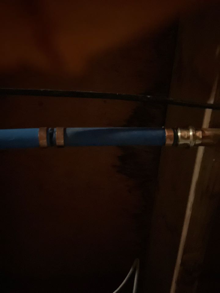 Removed shark bites in Tom’s River NJ