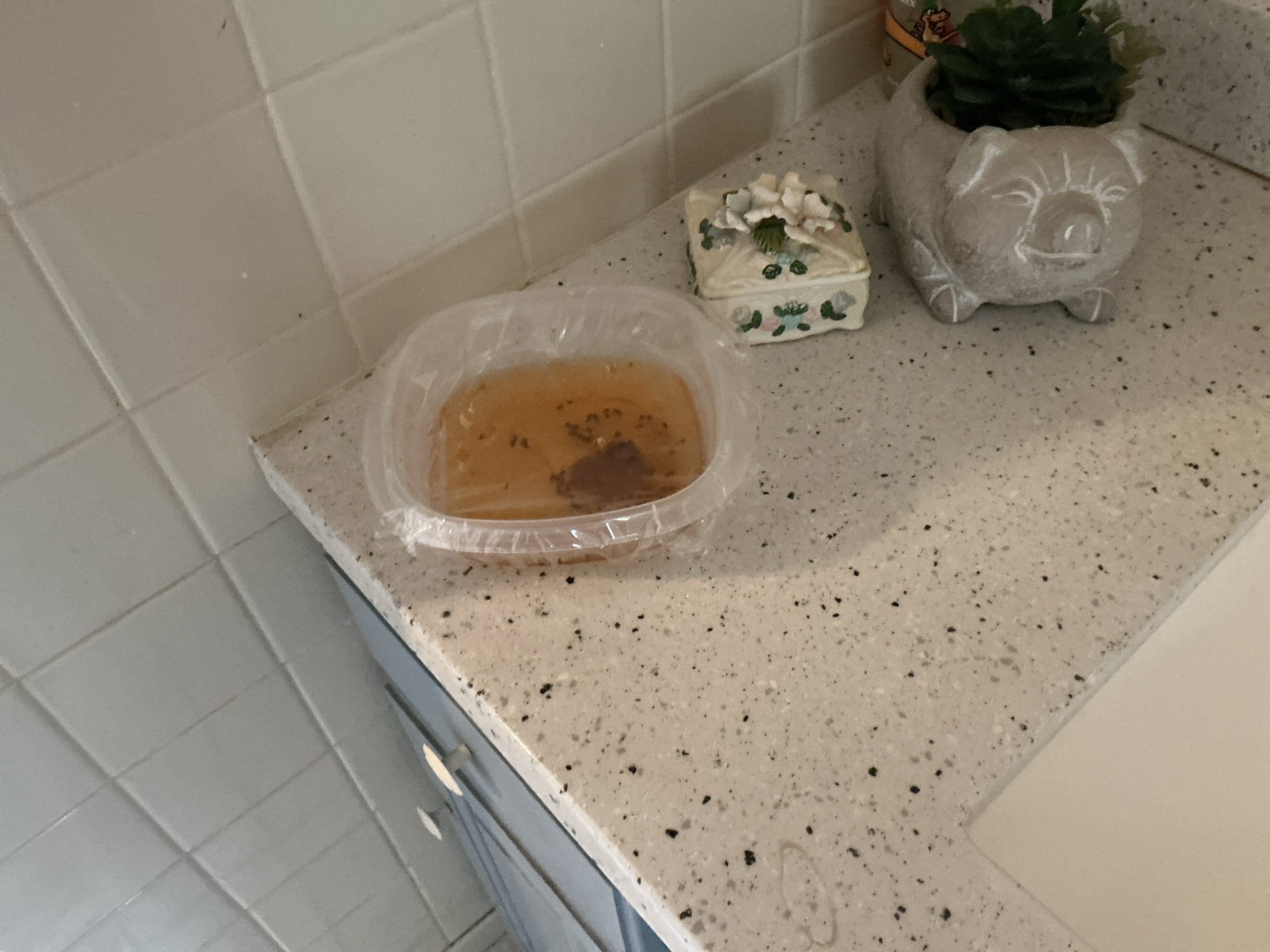 Arrived to the home, client states there are drain flies throughout the home, mostly in the bathroom group. When I went into the kitchen I did discover a few but not many flies near the kitchen sink. I ran the faucet to check for leaks, and there are no leaks under the kitchen sink. I next went into the only bathroom group and ran fixtures and checked for leaks to, again, no leaks are found. I flushed the toilet numerous times to check for leaks at the base and there are no visible leaks in the home that I can locate at this time. I next went into the crawlspace to check for any leaks, broken drain pipes, etc. There are no active leaks in the crawlspace and no leaks coming from any drain piping. I asked the client if they have had any weird smells recently and they stated only in the garage near the washing machine. There is an intense smell of mildew in the washing machine and drain flies are discovered there as well. From a plumbing stand point, I am not seeing any issues with water 