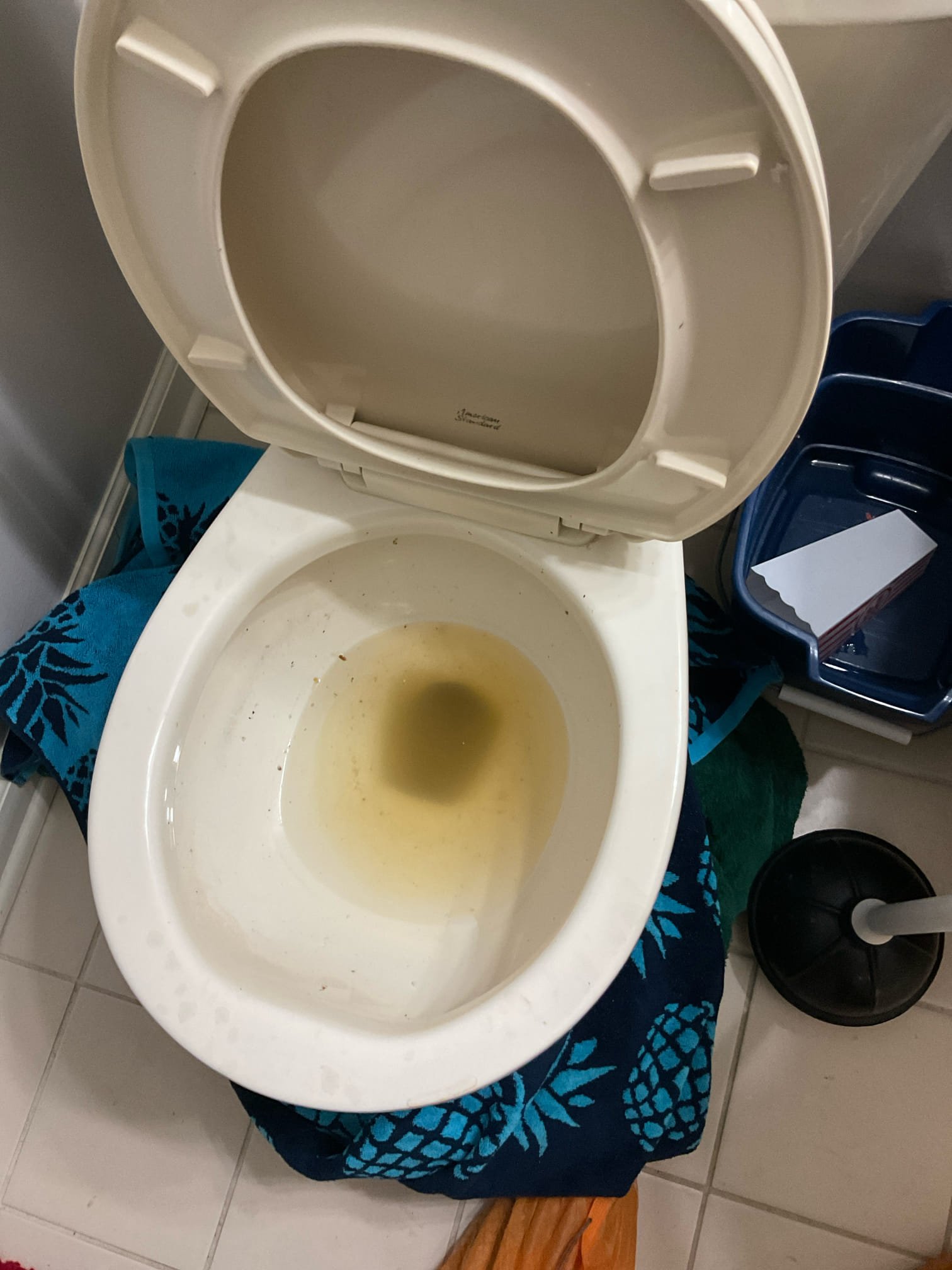 Arrived on site clients stated their stated their downstairs bathroom toilet was clogged. Upon inspection I ran water in the lav and kitchen sink and the toilet water would rise. Client has 2 clean outs, one in the garage and one in the front of the home. Snaked main from the cleanout in the garage and cleared the clog. Ran water in the kitchen and lav sink and flushed toilet multiple times. Everything is now draining as it should.