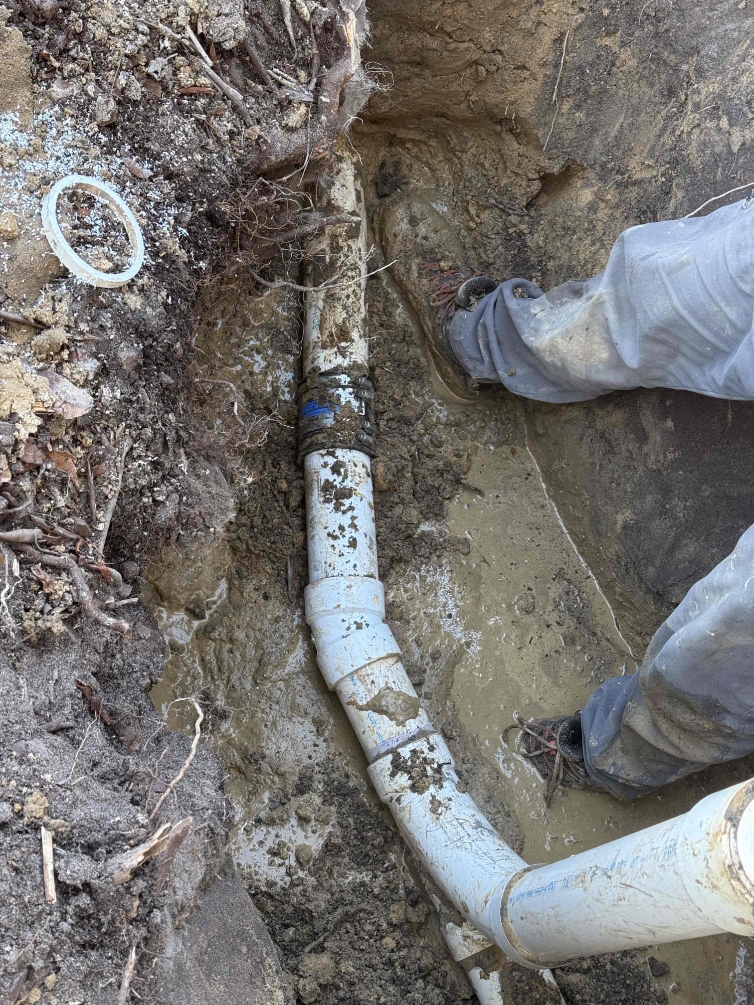 Dig up and repair section of pipe that has separated with membership 
Arrived to home to complete work agreed to last week. MyGuy excavated area of problem on sewer line and found that pipe was separated. A cleanout was found under tree which caused the separation. We removed tree and most roots. Customer is aware about landscaping after job would not be perfect being that we removed trees and dug 4x4 hole. Pipe was also separated in crawl. Made all connections and ran water and flushed toilet to test for leaks, there are none at this time. Sump is plugged back in and will continue to run on and off until it catches up with ground water. Complete