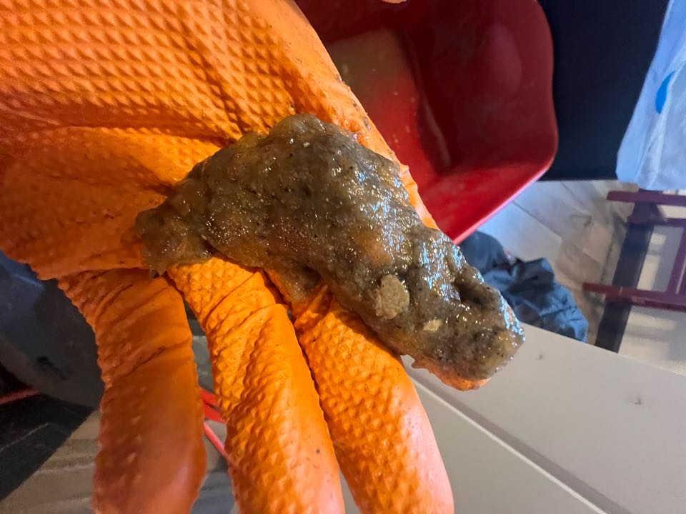 Snaked kitchen drain in Tom’s River NJ