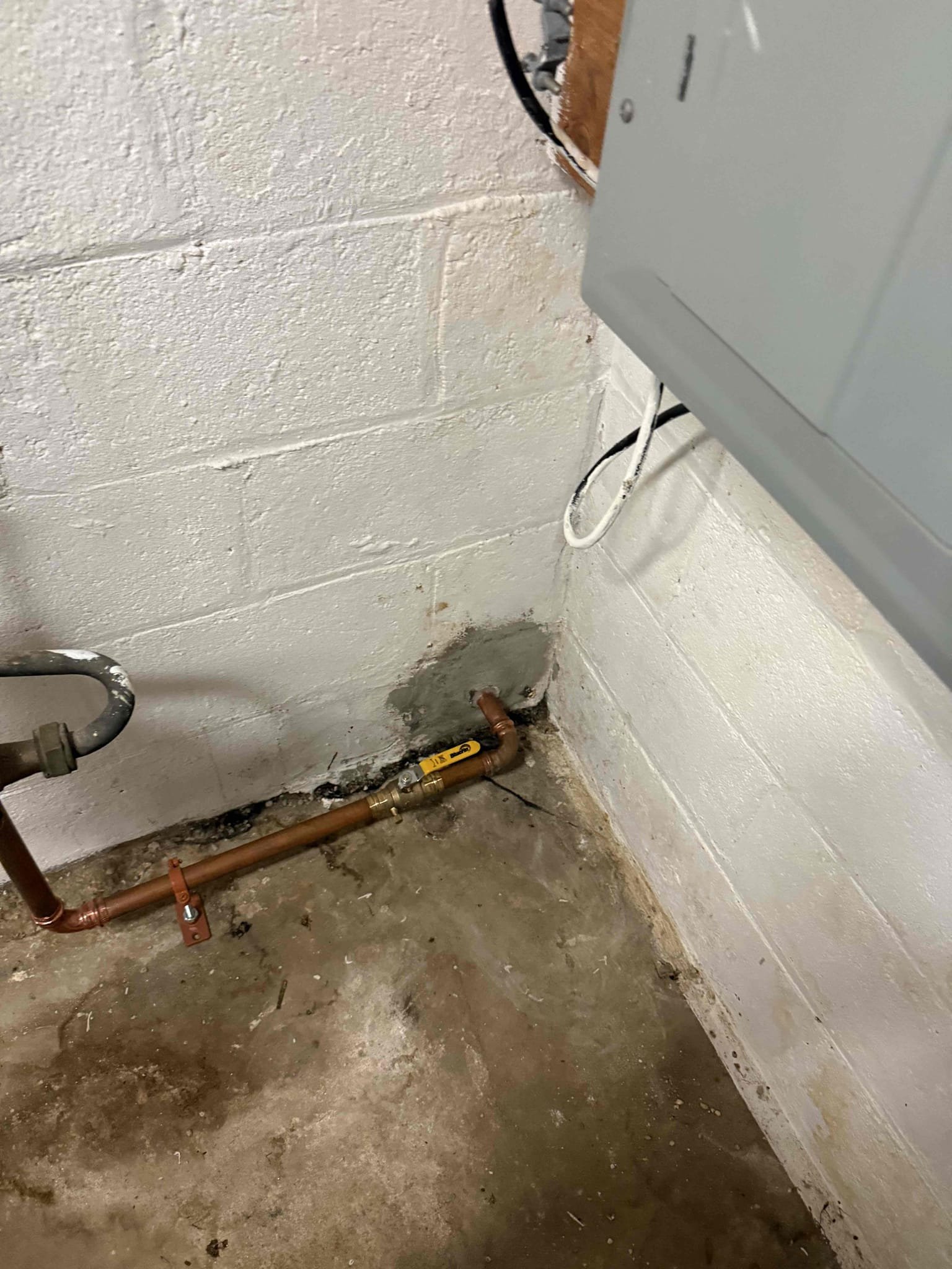 Customer stated that they would like their kitchen faucet and their bathroom faucet replaced. After inspecting MyGuy plumbing wrote estimates on what we found. For today customer would like all options emailed over to them.