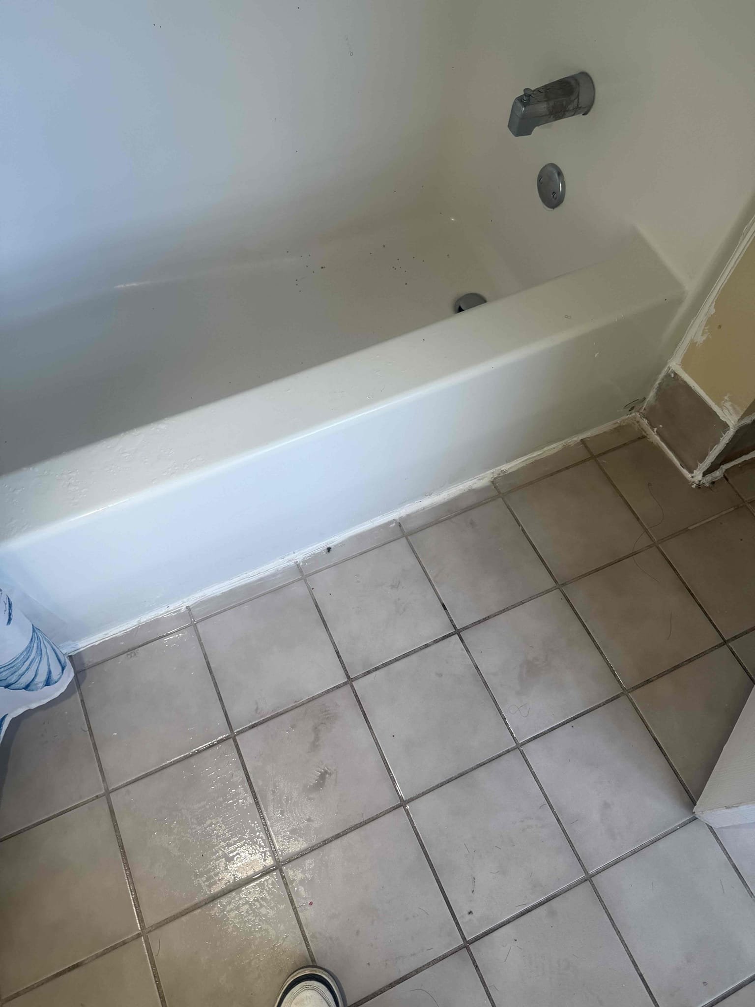 2 new single handle lav faucets 
Arrived for leak In ceiling. We replaced tub waste and overflow in same spot in November. Went up to bathroom to find that shower was used with liner outside of tub. Water was all over the floor and cracks were in corners telling me water was making its way downstairs. Checked all plumbing in bathroom. Toilet was loose but I tightened it and is now sturdy no leaks. Noticed one faucet was rusty and leaking. There were 2 faucets in bathroom. MyGuy supplied and installed new single handle faucets and tested for leaks, there are none at this time.