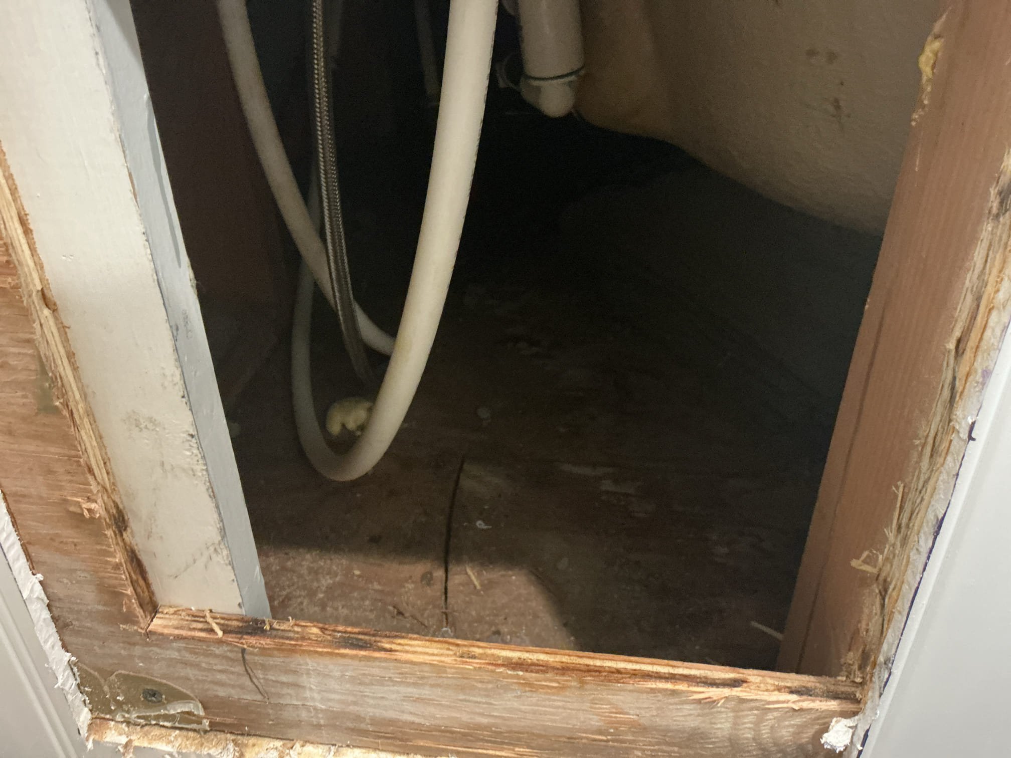 Customer has an existing Moen tub faucet for jacuzzi tub they would like installed. Price on estimate is to remove the paneling to access the existing faucet so it can be replaced.

Arrived back to the home to further diagnose a mystery leak from the jacuzzi tub. After cutting opening a hole to further diagnose the issue, we first filled up the tub to the overflow to see if that is the problem, there are no leaks from the drainage at this time. I next, ran the faucet and side spray to see if connections are leaking from the water line, there are no leaks from the water lines at this time. As far as I can see there are no leaks or issues coming from the tub at this time, and replacement of the faucet is not needed at this time.