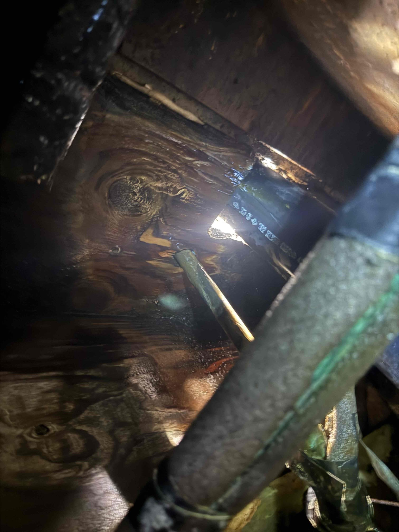 Arrived on site customer stated that they had a leak in the crawlspace after inspecting we think the hot line for the baseboard is leaking. MyGuy pluming will send boiler technician out tomorrow to diagnose issue