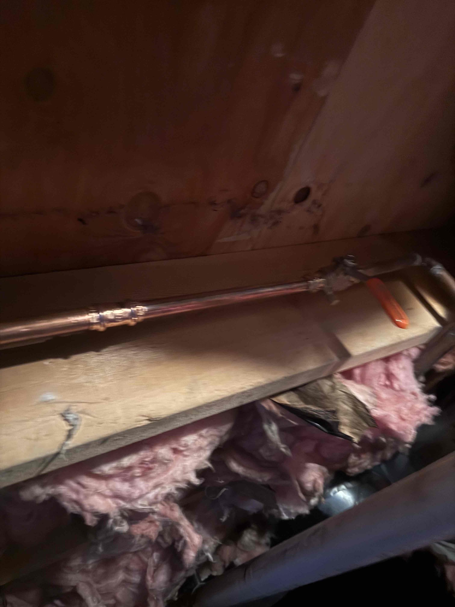 New ice maker line. New main water shutoff valve for home, new hose spicket without membership 


Arrived on site today to complete job. After MyGuy plumbing installed new main shutoff valve, new hose spicket with ball valve and new ice maker line with shutoff valve. After all work was completed. MyGuy pluming tested all work for leaks. At this time their are no leaks found everything is working as should.