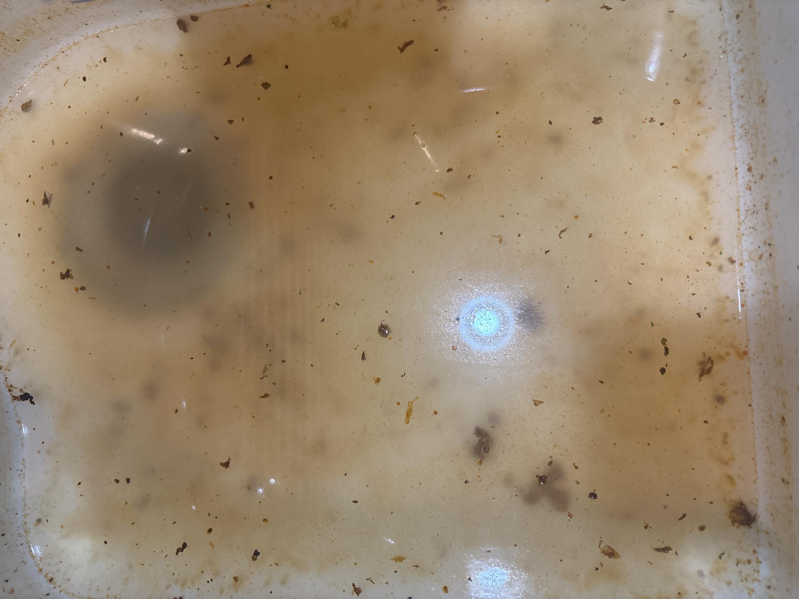 Arrived on site client stated that thier kitchen sink was backed up. Customer stated that they have had issues in the past with the kitchen sink being clogged and when looking in the basement at the piping I felt it was best to cut it out due to the length and history of back ups with the kitchen line. Client agreed so today we repiped about 35 ft of 1 1/2 pvc and strapped it every 3 ft. Ran hot water water when done to test for leaks and flow. Kitchen sink is now draining like new. 