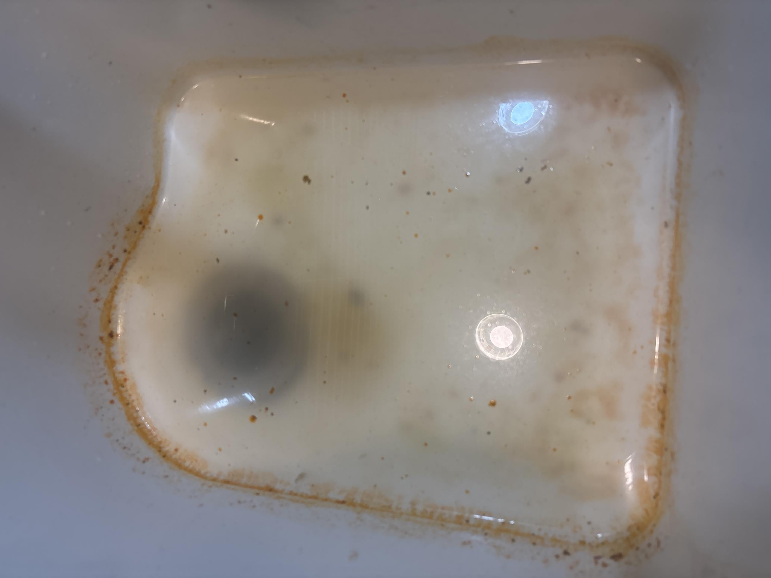 Arrived on site client stated that thier kitchen sink was backed up. Customer stated that they have had issues in the past with the kitchen sink being clogged and when looking in the basement at the piping I felt it was best to cut it out due to the length and history of back ups with the kitchen line. Client agreed so today we repiped about 35 ft of 1 1/2 pvc and strapped it every 3 ft. Ran hot water water when done to test for leaks and flow. Kitchen sink is now draining like new. 