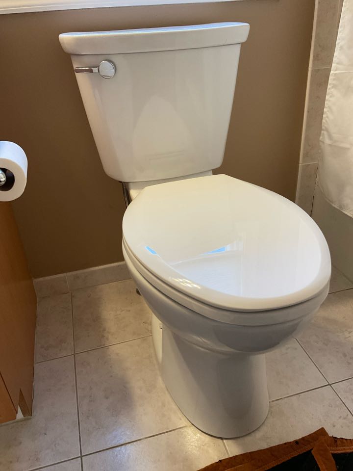 New toilet in Morganville NJ