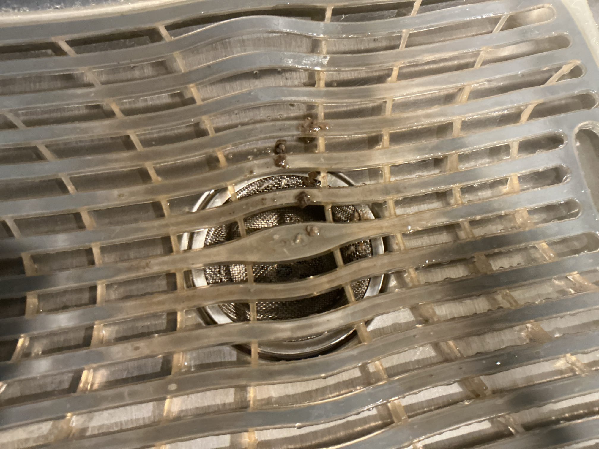 Arrived back to the home for water leaking out of the air gap weep hole of the Ro faucet. Client has had this problem in the pass. One tech discovered that the discharge drain going into the tubular was clogged, thus making the water come out of the weep hole. We arrived back today for the same issue. I disconnected the nut for the saddle on the tubular and the drain pipe was completely clogged again. I blew the debris out and the line is no back to normal. If water does keep coming out of the weep hole, either replacement of the saddle to a larger diameter, or replacement of the faucet is recommended. No 59$