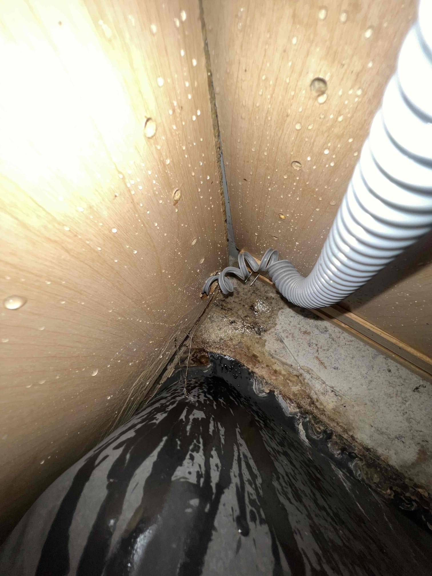 Arrived onsite to a possible recall. Upon inspection clients dishwasher drain hose is leaking because it is broken. Left client the number for Jersey Coast Appliance (732) 240-2262.