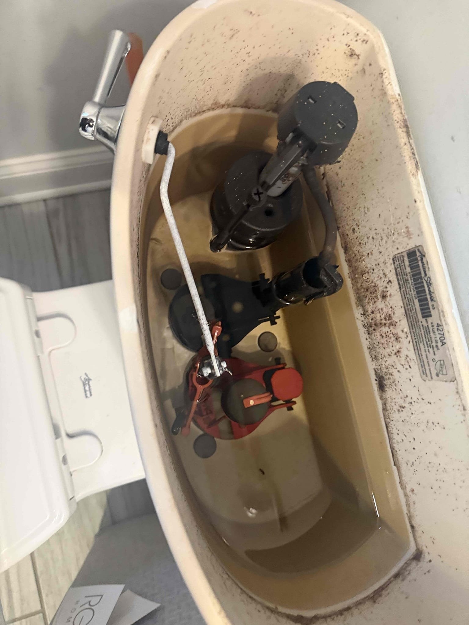 Ph 7.4 
Hardness 2
Pressure 65

 Arrived on site customer stated that their toilet was not flushing properly. While inspecting the toilet we found the the jet port had something in it. MyGuy pluming took it out if the jet port and flushed toilet multiple times. At this time, the toilet is flushing properly. Everything is working as should.