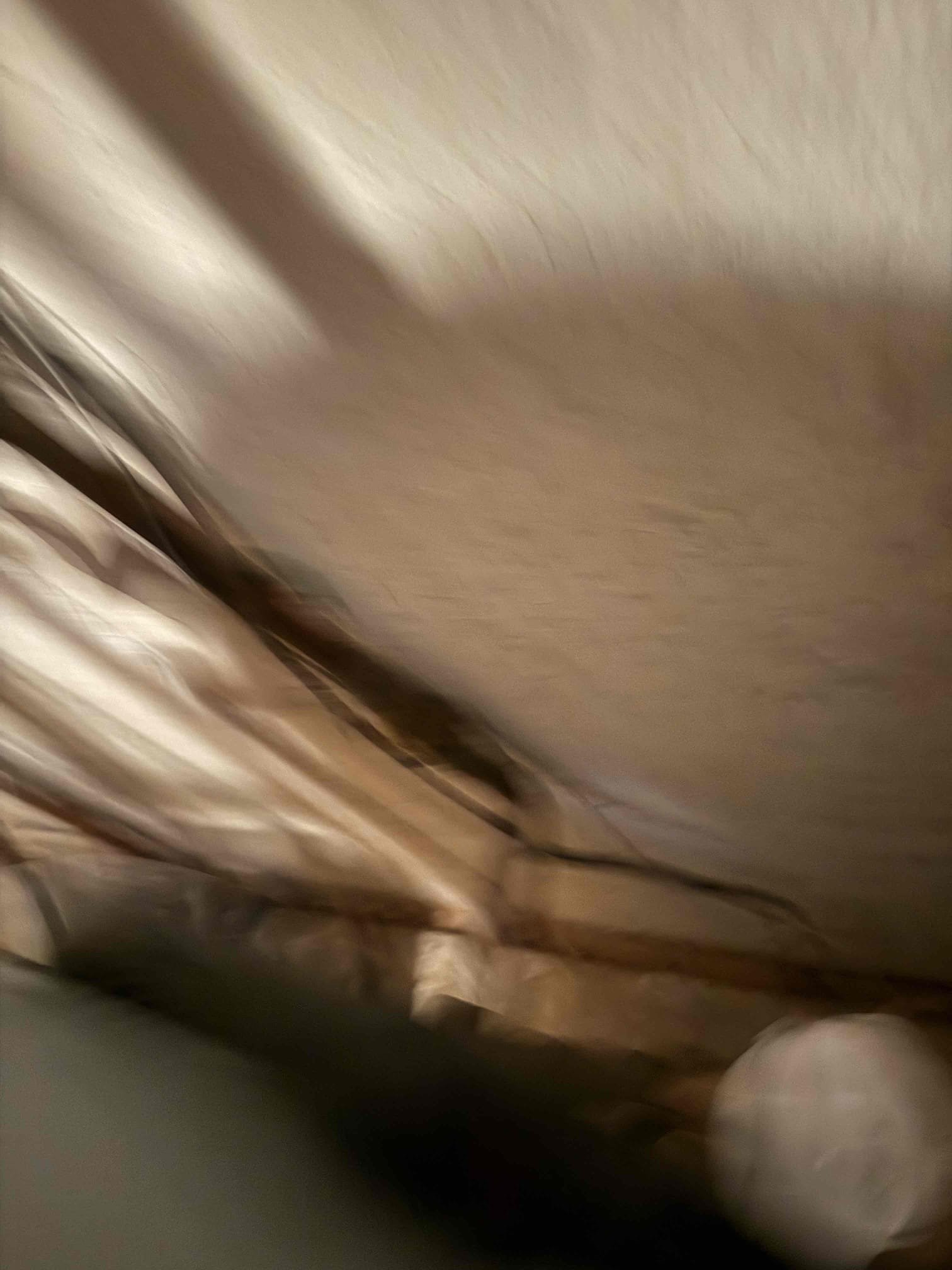 Arrived on site to complete customers annual home inspection after inspecting MyGuy plumbing wrote estimates on what we found.  For today customer would just like all options emailed over to them.