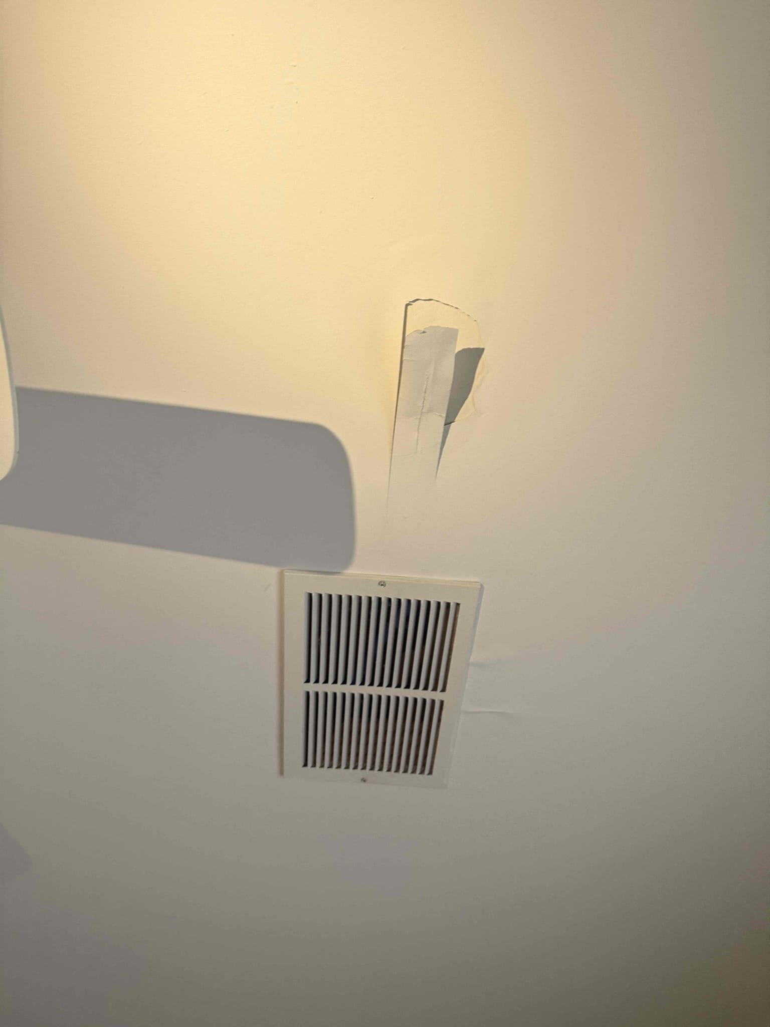 Membership (open ceiling to further diagnose leak)
Arrived to home for leak in ceiling. Upon inspection found that it could be shower strainer but would have to open ceiling to further diagnose. MyGuy charged for membership to open ceiling . Found that leak is coming from either shower door or opening in grout sections. Recommend caulking all openings around shower. Customer is now a member and no other plumbing issues in the area are present.