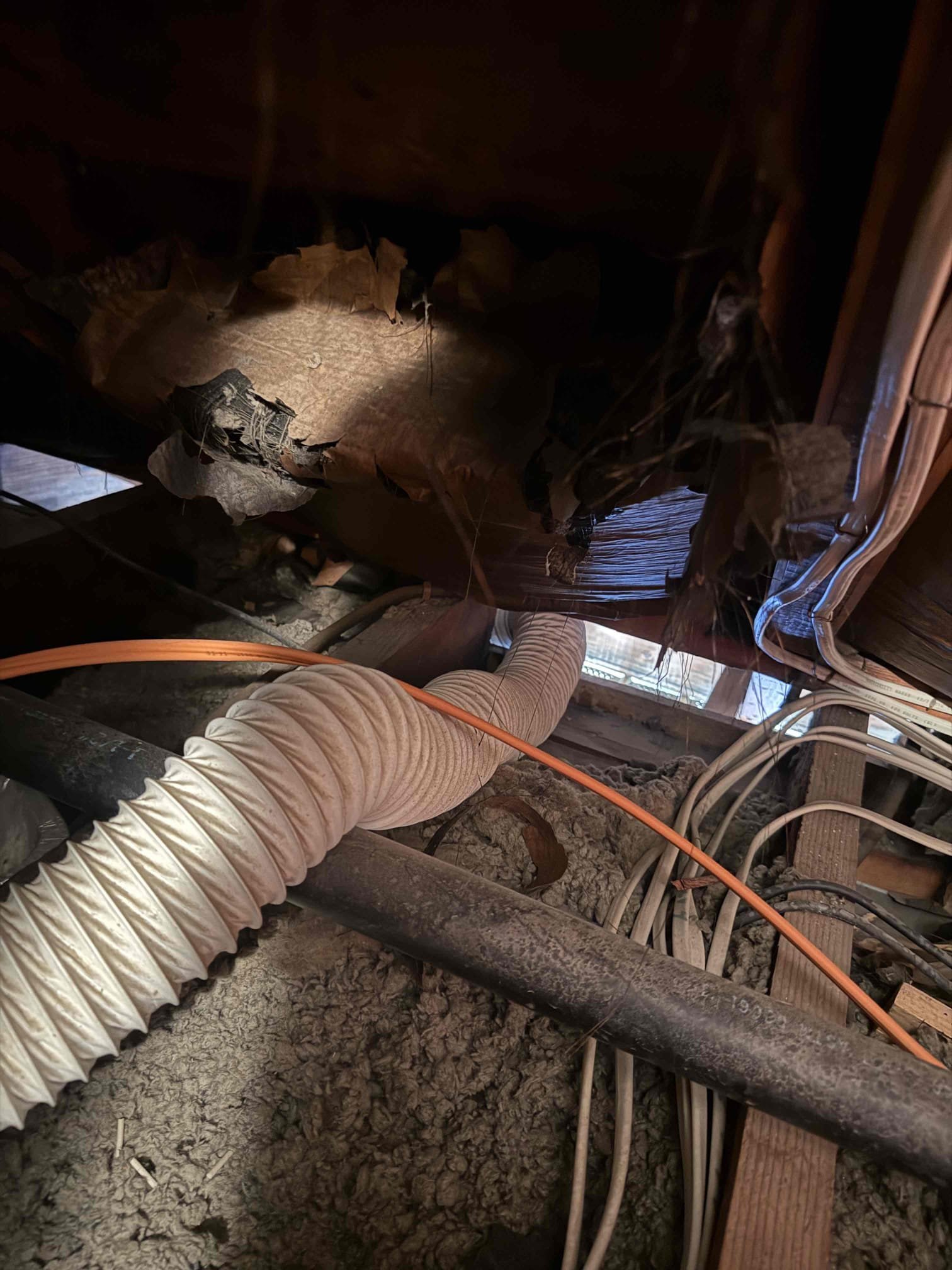 Accessible pipe repair with membership 
Arrived to home for leak upstairs. Upon inspection found a freeze break in copper line on top floor. There was zero insulation protecting inside of home from drafts or cold. Highly recommend having a company come and install insulation. Restoration was here upon arrival. MyGuy supplied and installed fittings and pipe needed to fix break. Turned water on to home and there are no other breaks. Bled home of air customer is now a member again.